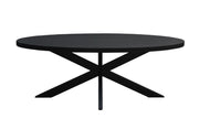 Eettafel Kala Ovaal Spider 240 cm