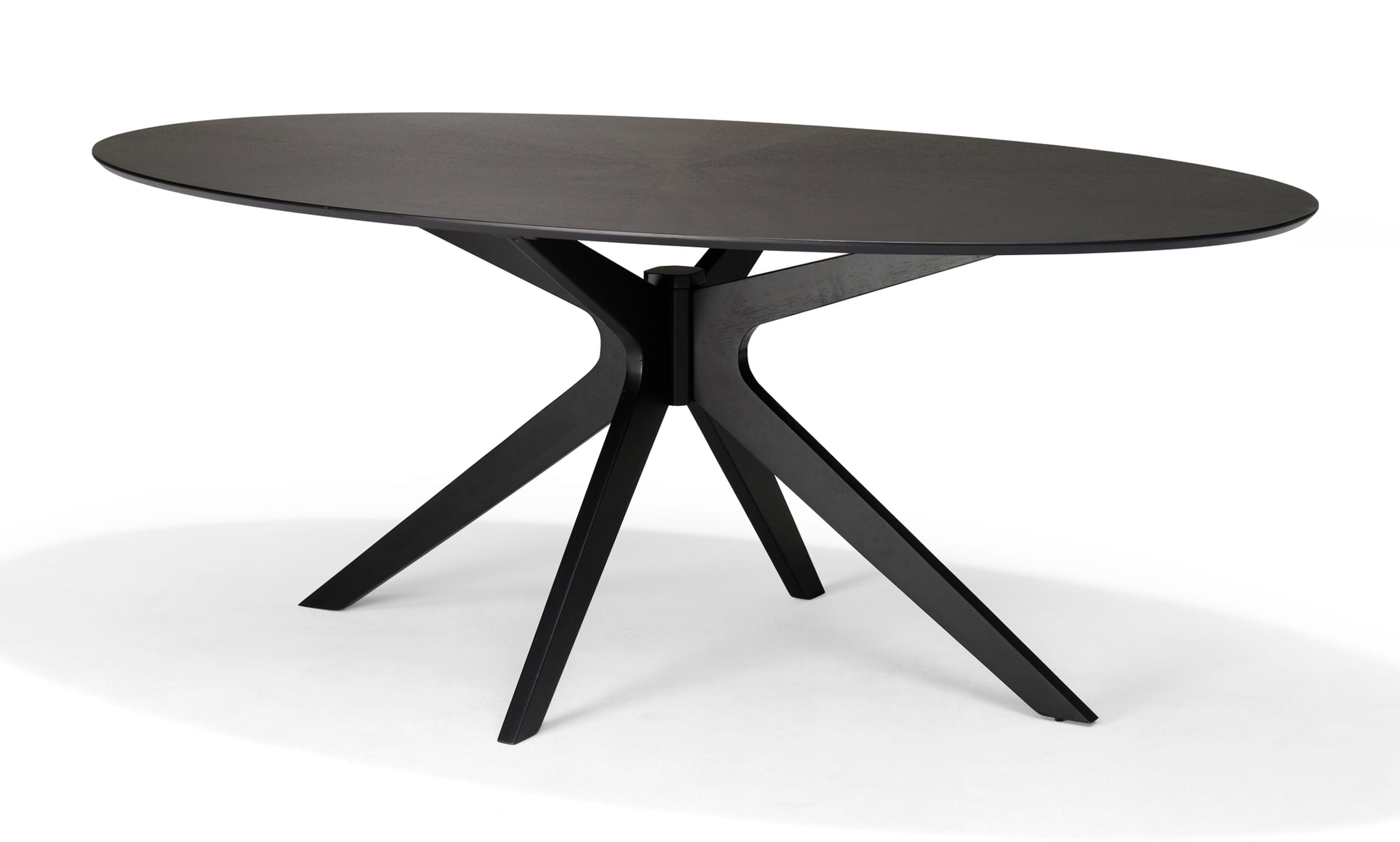 Julia 200 x 110 Eetkamertafel Ovaal Zwart Eiken