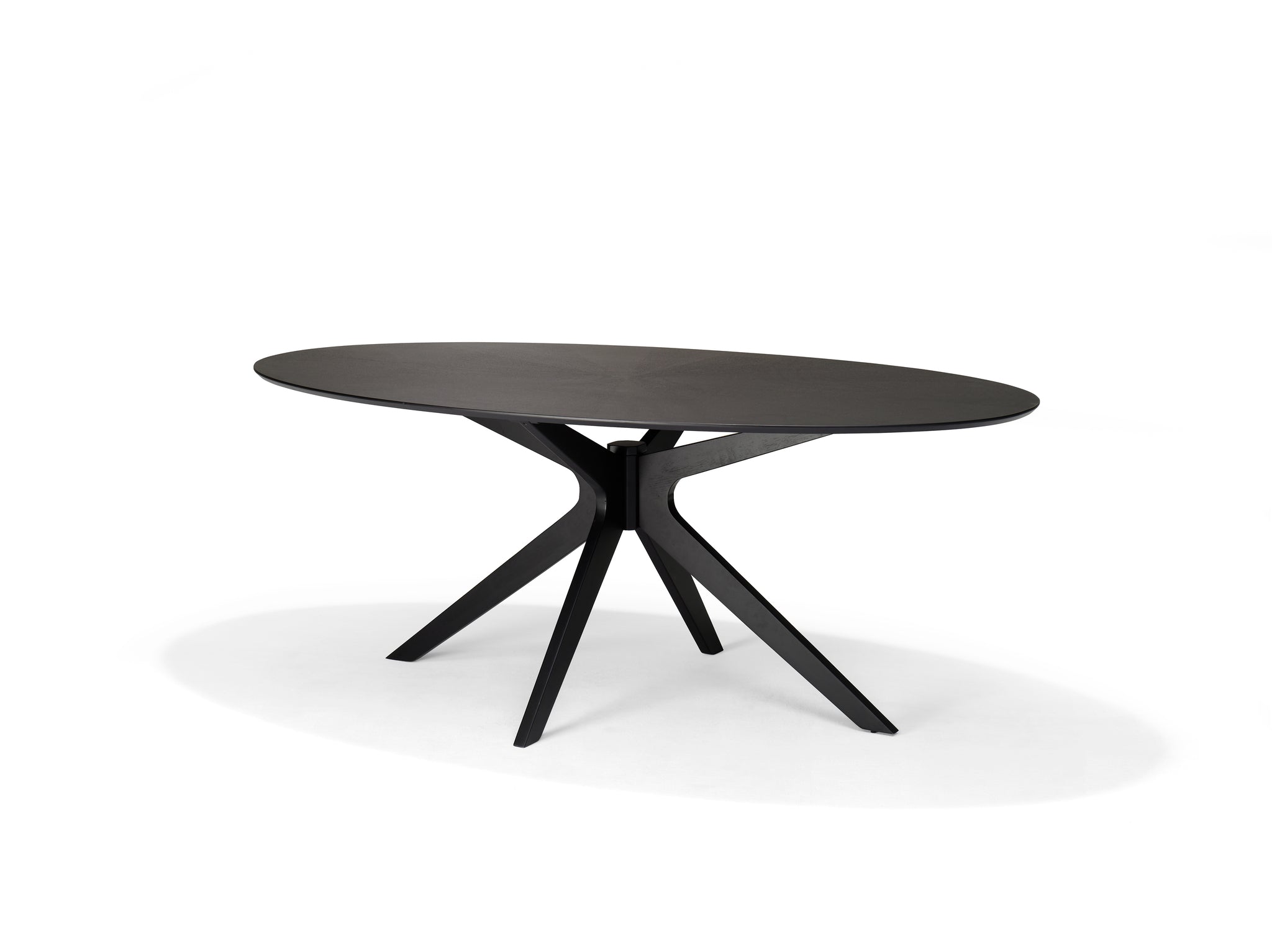 Julia 200 x 110 Eetkamertafel Ovaal Zwart Eiken