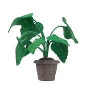 KidsDepot plant Alocasia - Groen