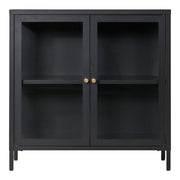 Dalby-kast - 2 glazen deuren, staal, zwart, 80x35x80 cm