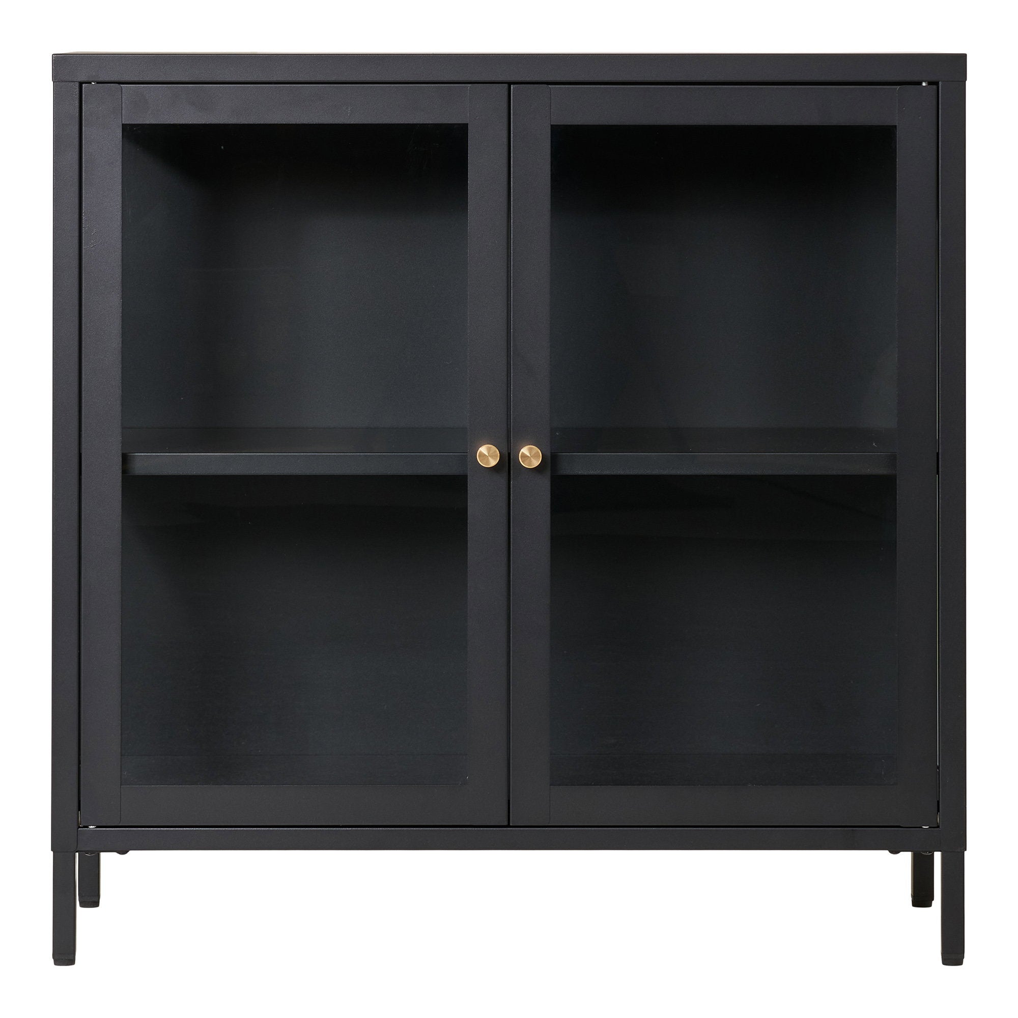 Dalby-kast - 2 glazen deuren, staal, zwart, 80x35x80 cm