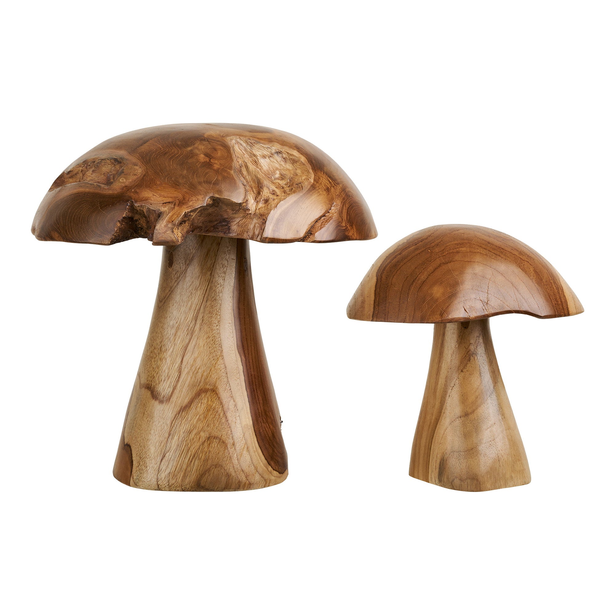 Kodi decoratieve paddenstoelen - decoratieve paddenstoelen, teak, naturel, set van 2