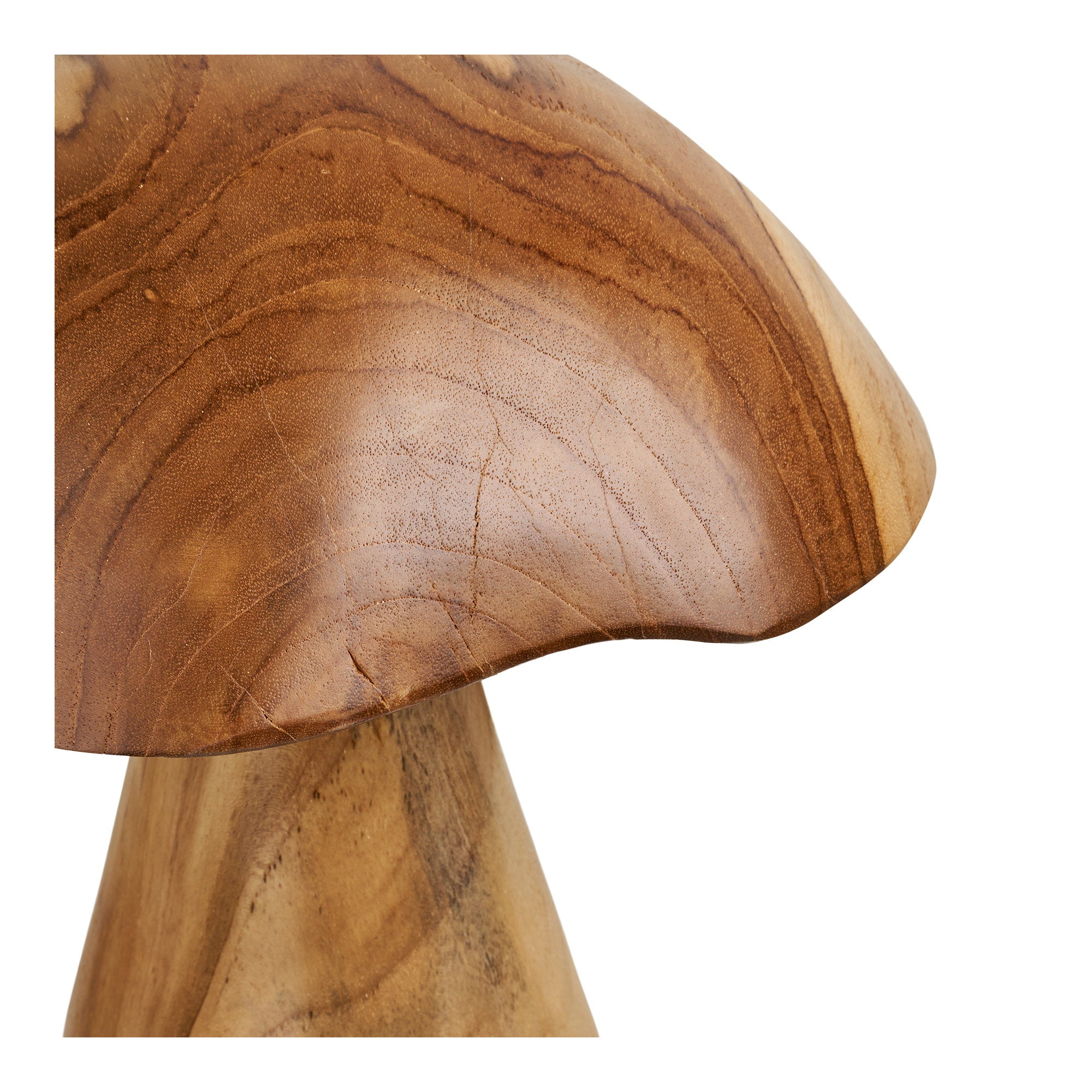 Kodi decoratieve paddenstoelen - decoratieve paddenstoelen, teak, naturel, set van 2