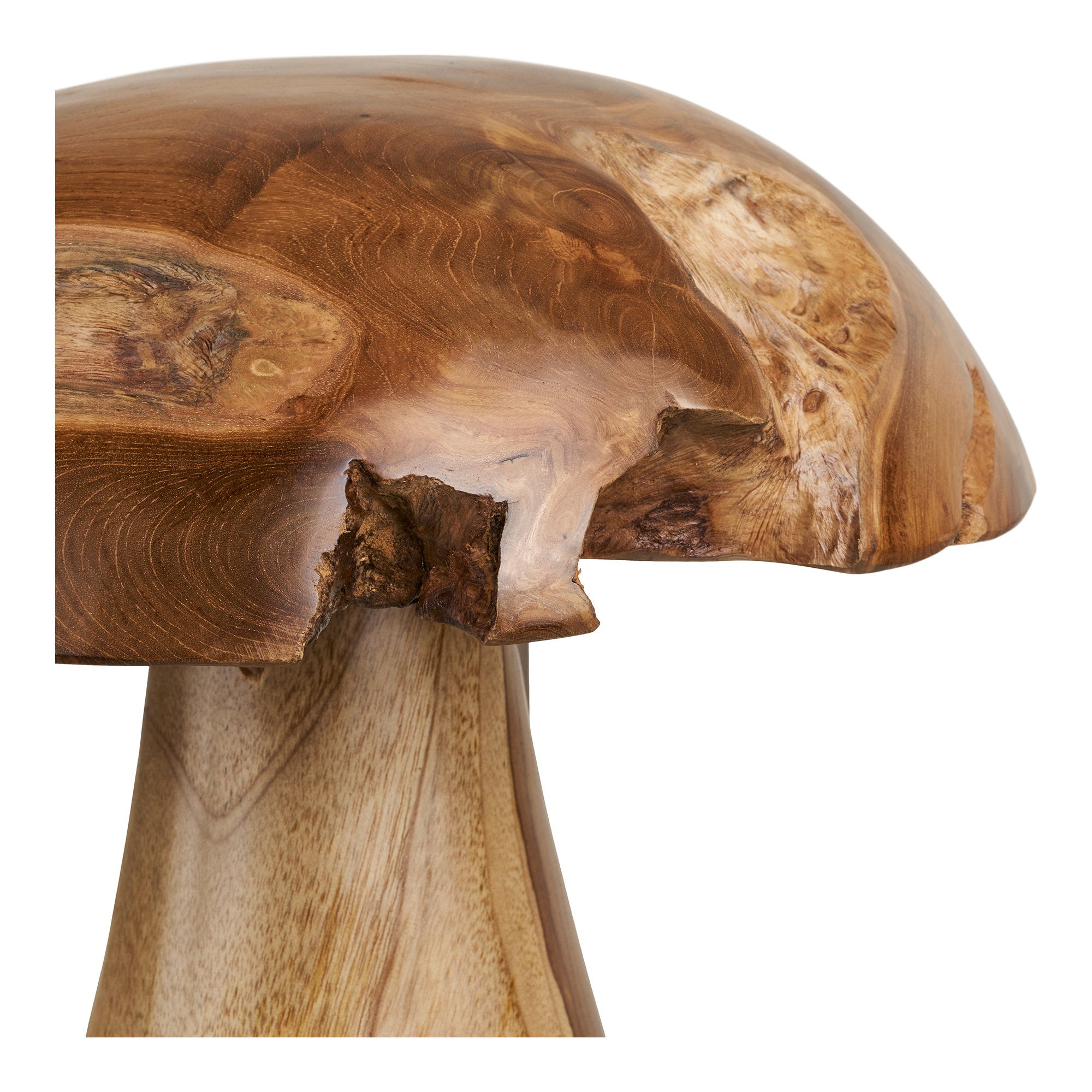 Kodi decoratieve paddenstoelen - decoratieve paddenstoelen, teak, naturel, set van 2