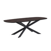 Eettafel Solar 210X100 Deens Ovaal HPL Ferro Lava 25mm