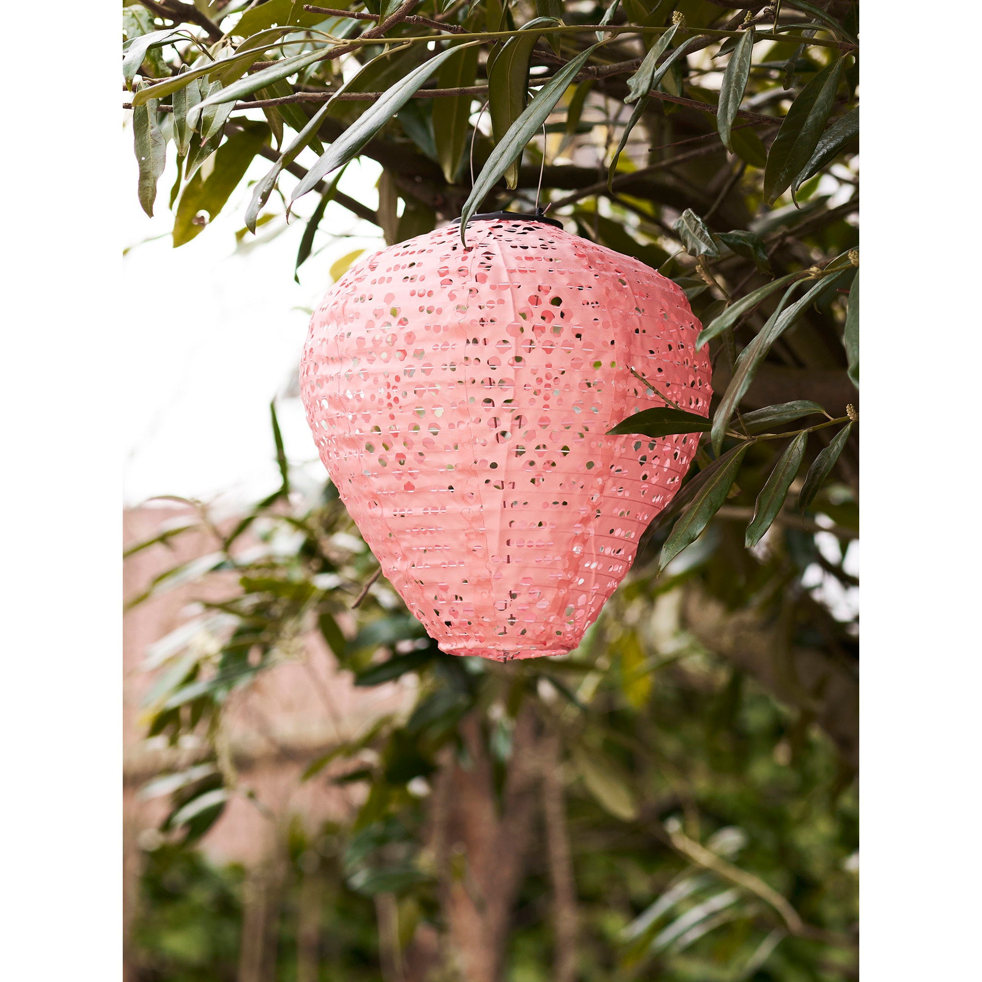 Greatham LED-lantaarn - lantaarn, oplaadbaar met geïntegreerd zonnepaneel, roze