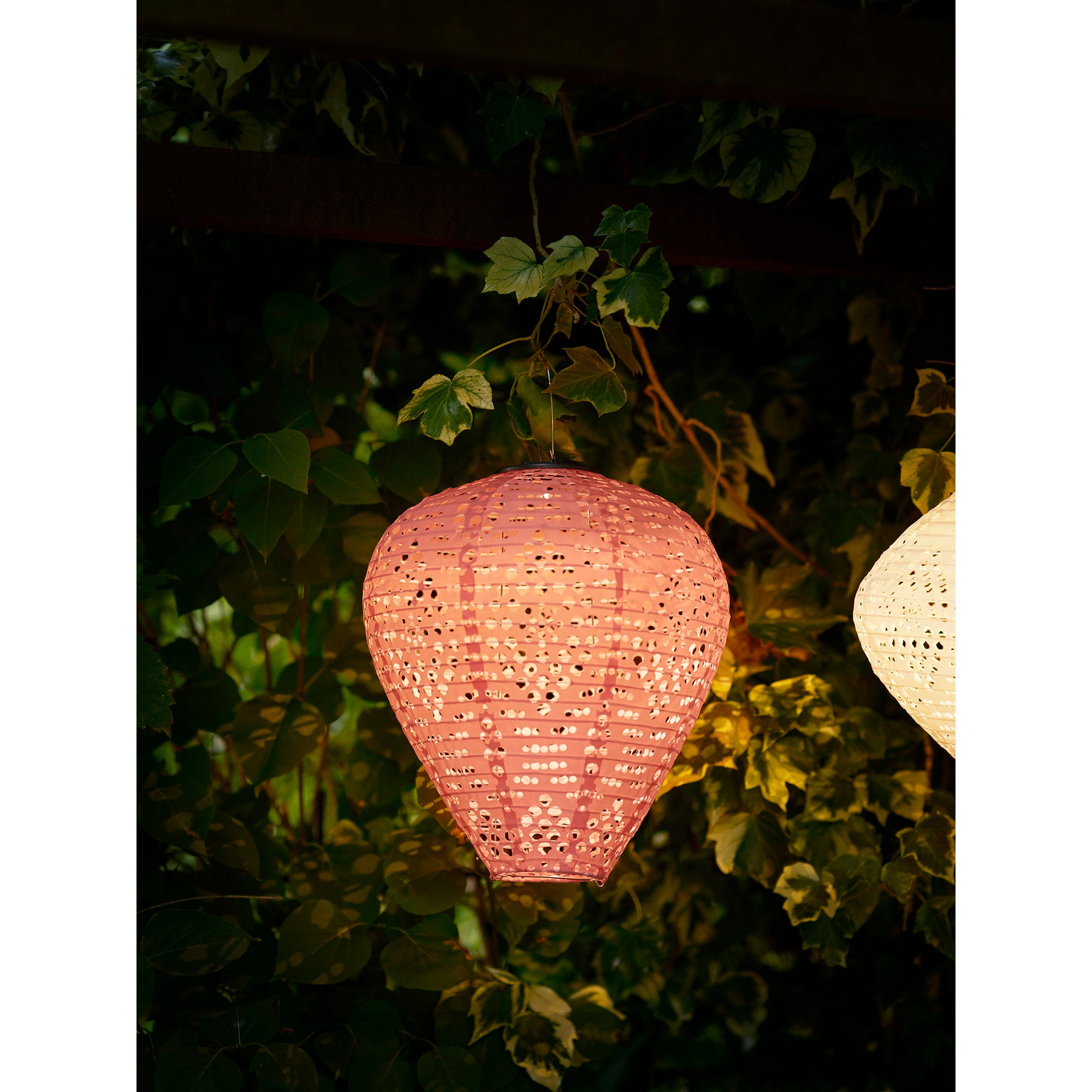 Greatham LED-lantaarn - lantaarn, oplaadbaar met geïntegreerd zonnepaneel, roze