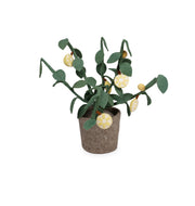 Kidsdepot vilten plant Citrus