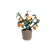 Kidsdepot vilten plant Oranje - Sinaasappelplant