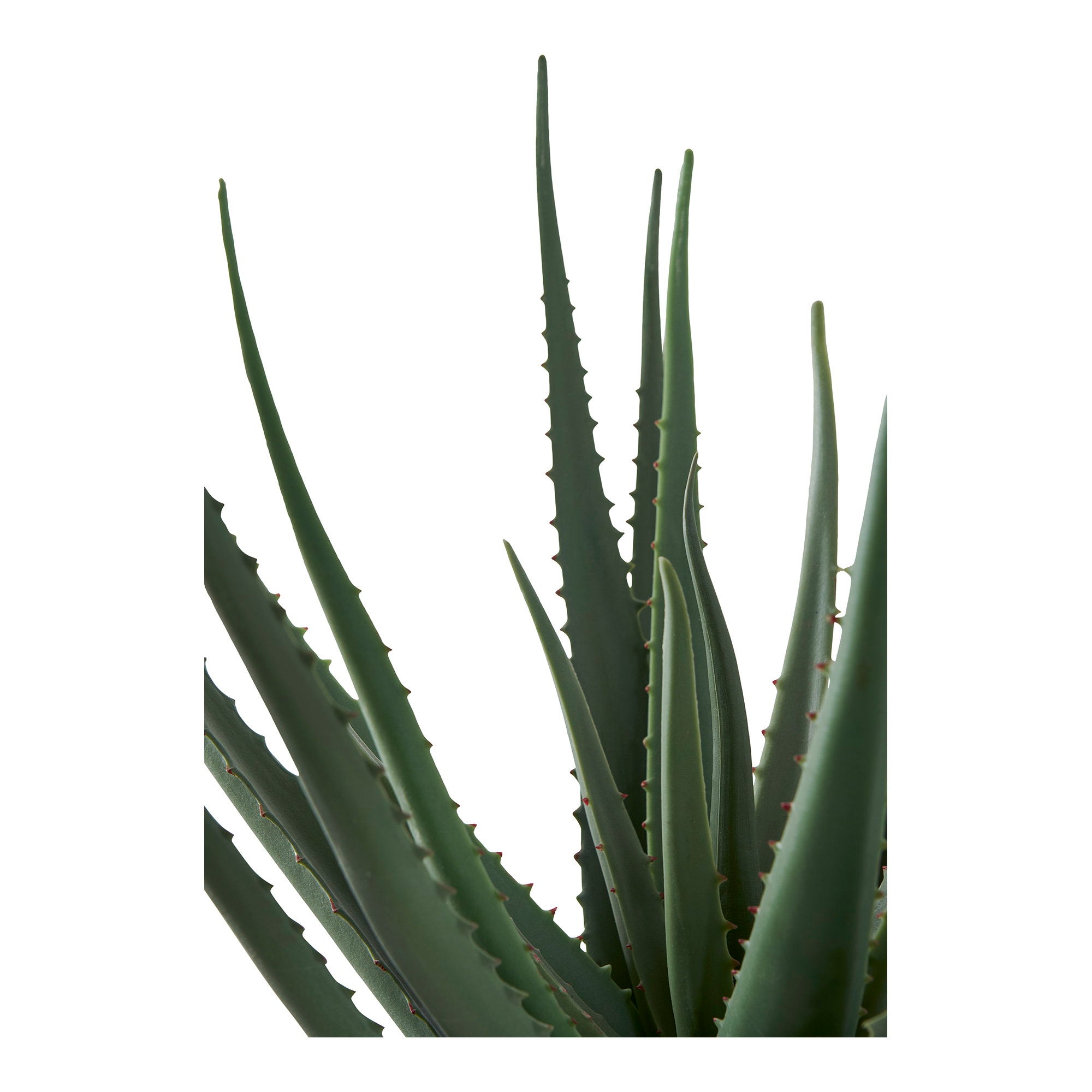 Aloë vera - kunstplant, groen H:51 cm