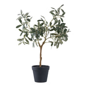 Olijfboom - kunstplant, groen H:61 cm