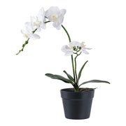 Orchidee - Kunstplant, groen/wit H:49 cm