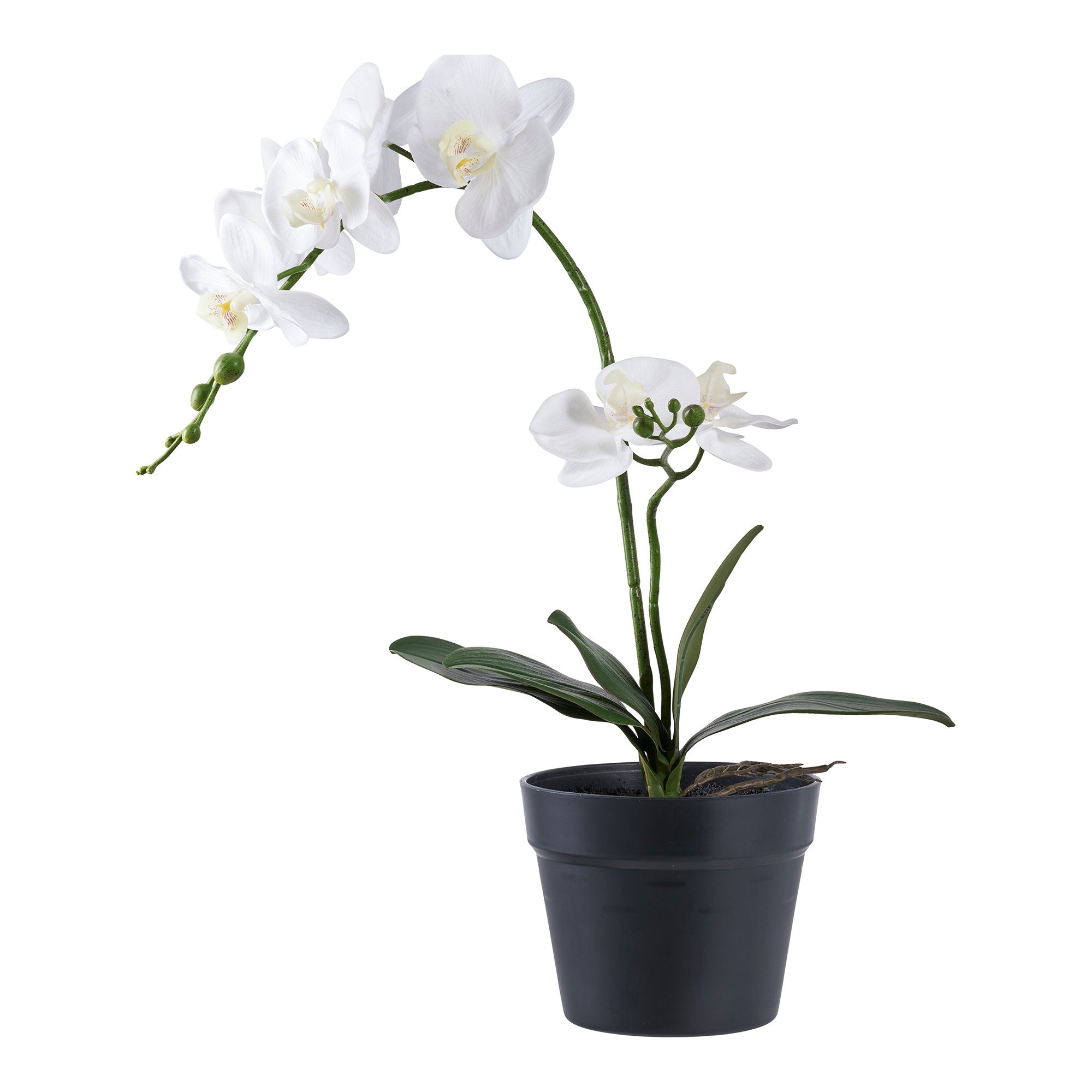 Orchidee - Kunstplant, groen/wit H:49 cm