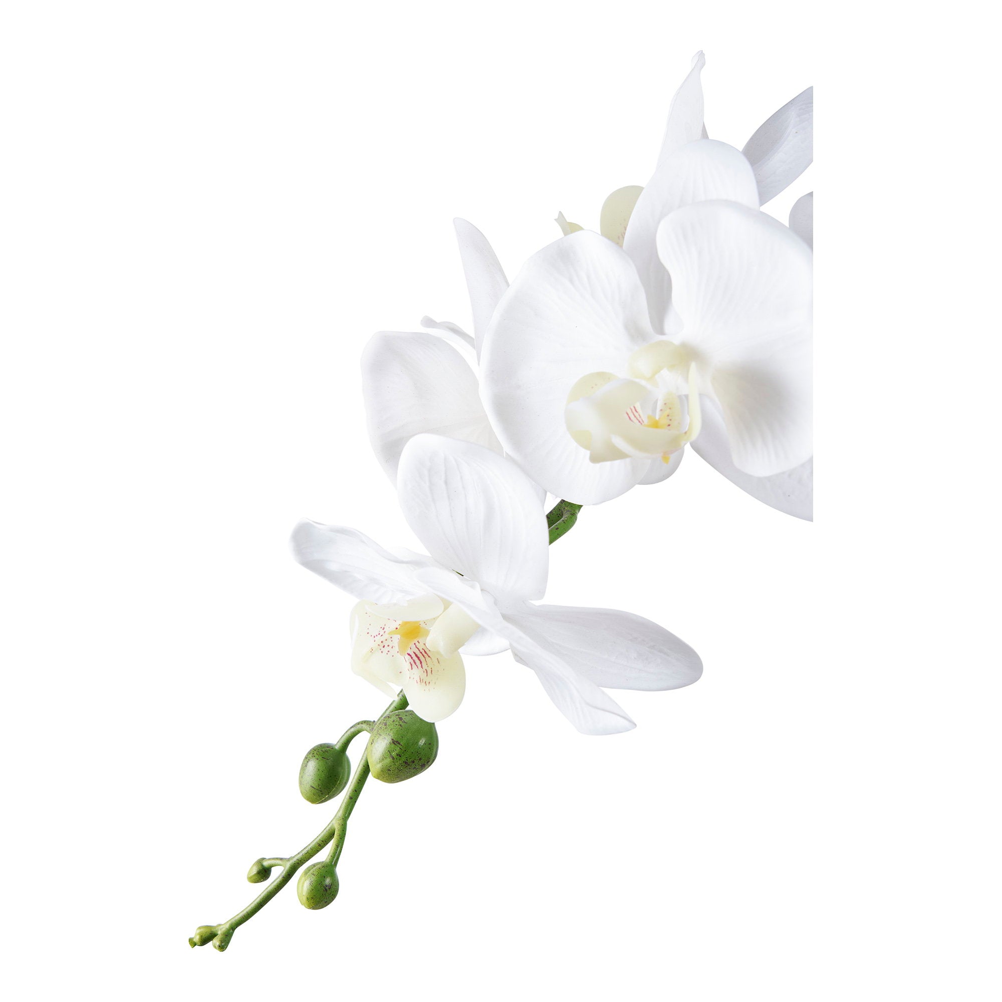 Orchidee - Kunstplant, groen/wit H:49 cm