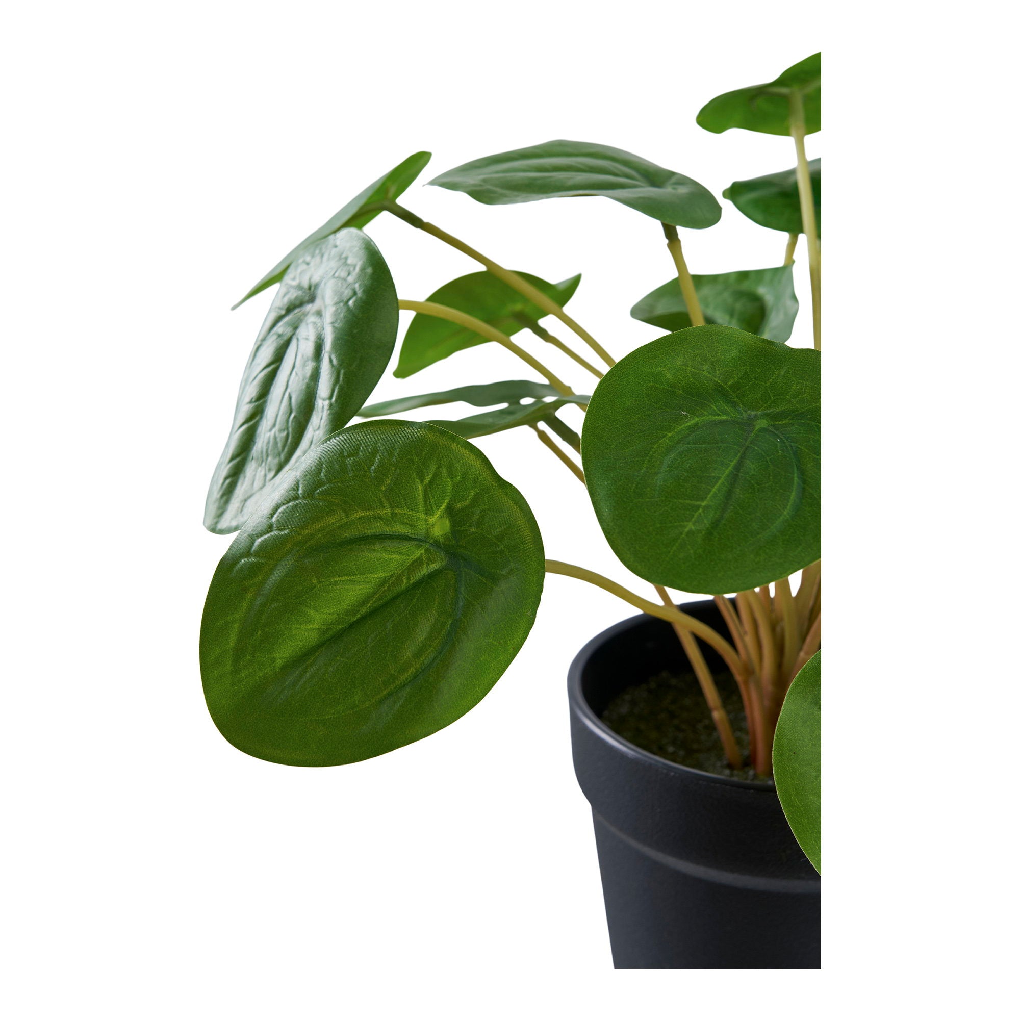 Pelia - Kunstplant, groen H:28 cm