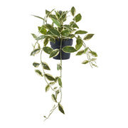 Hoya Carnosa - kunstplant, groen H: 33 cm