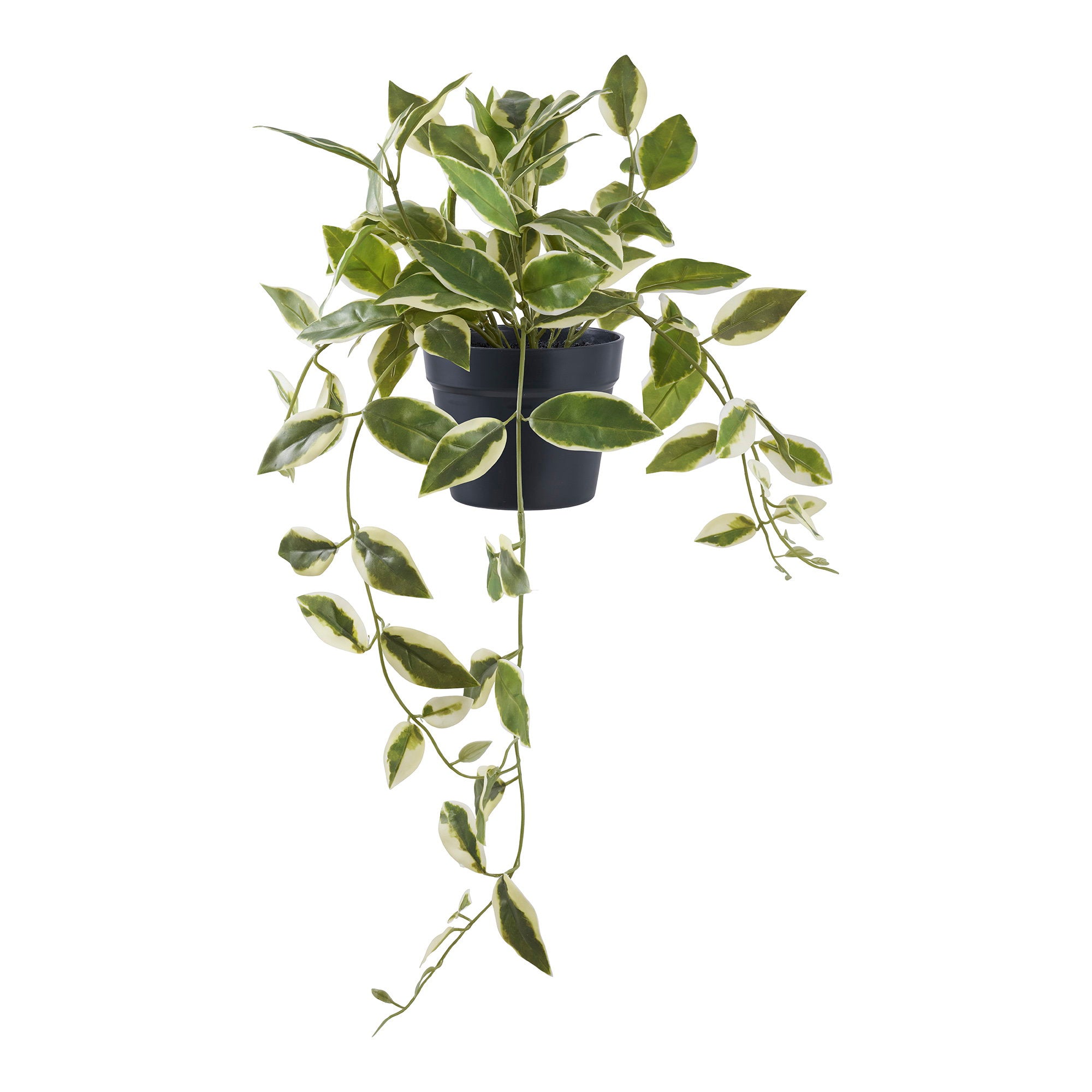 Hoya Carnosa - kunstplant, groen H: 33 cm
