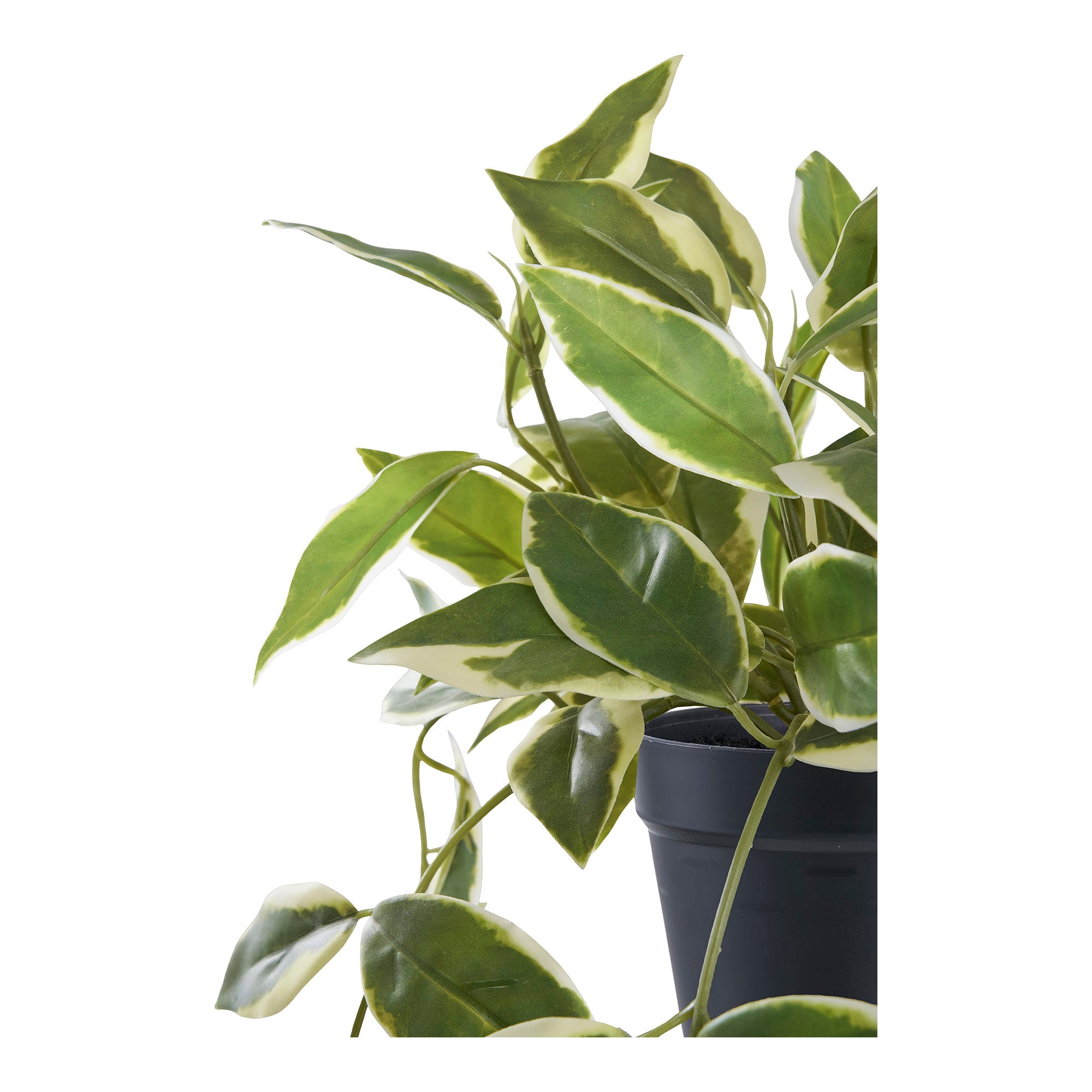 Hoya Carnosa - kunstplant, groen H: 33 cm