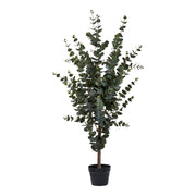 Eucalyptusboom - kunstplant, groen H:120 cm