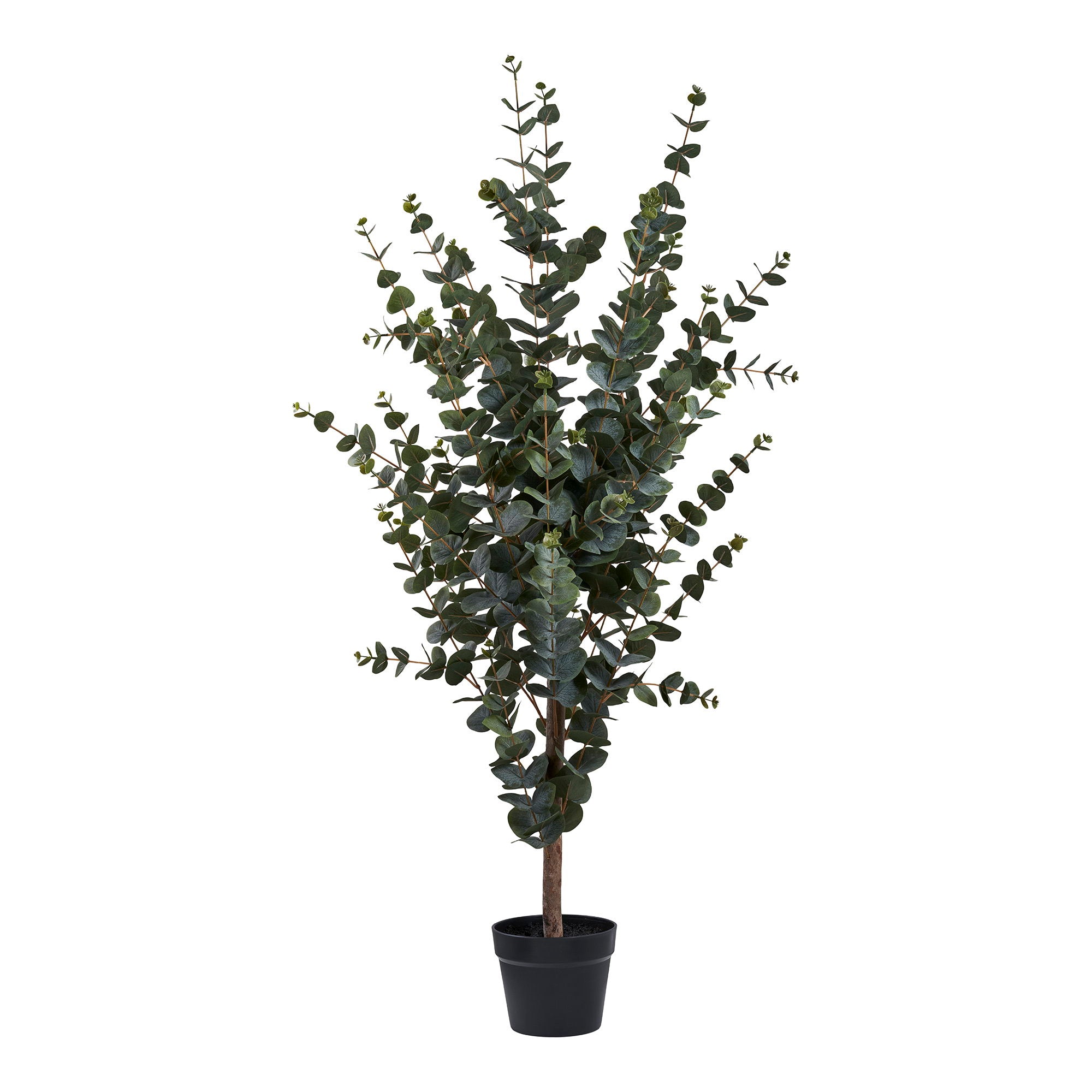 Eucalyptusboom - kunstplant, groen H:120 cm