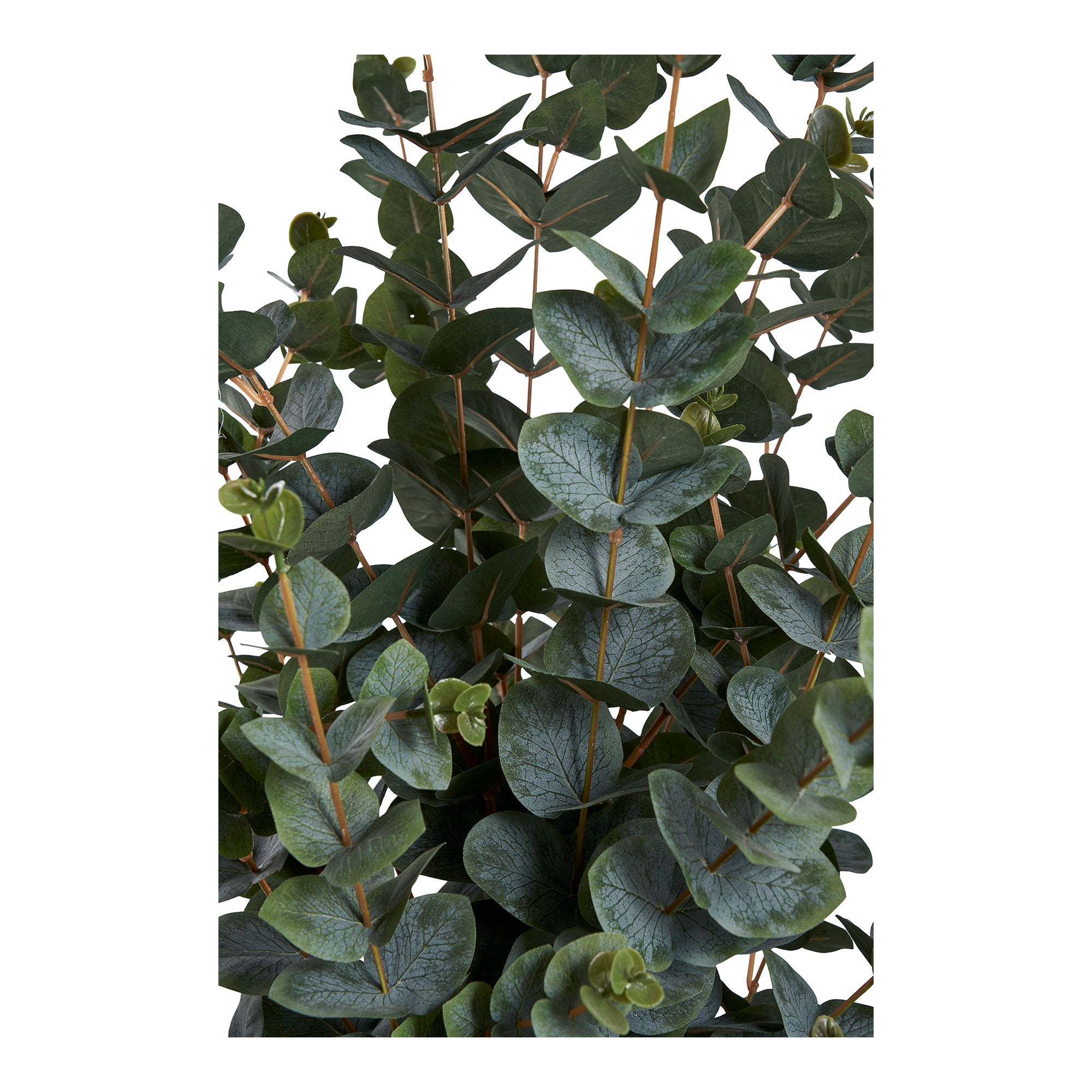 Eucalyptusboom - kunstplant, groen H:120 cm