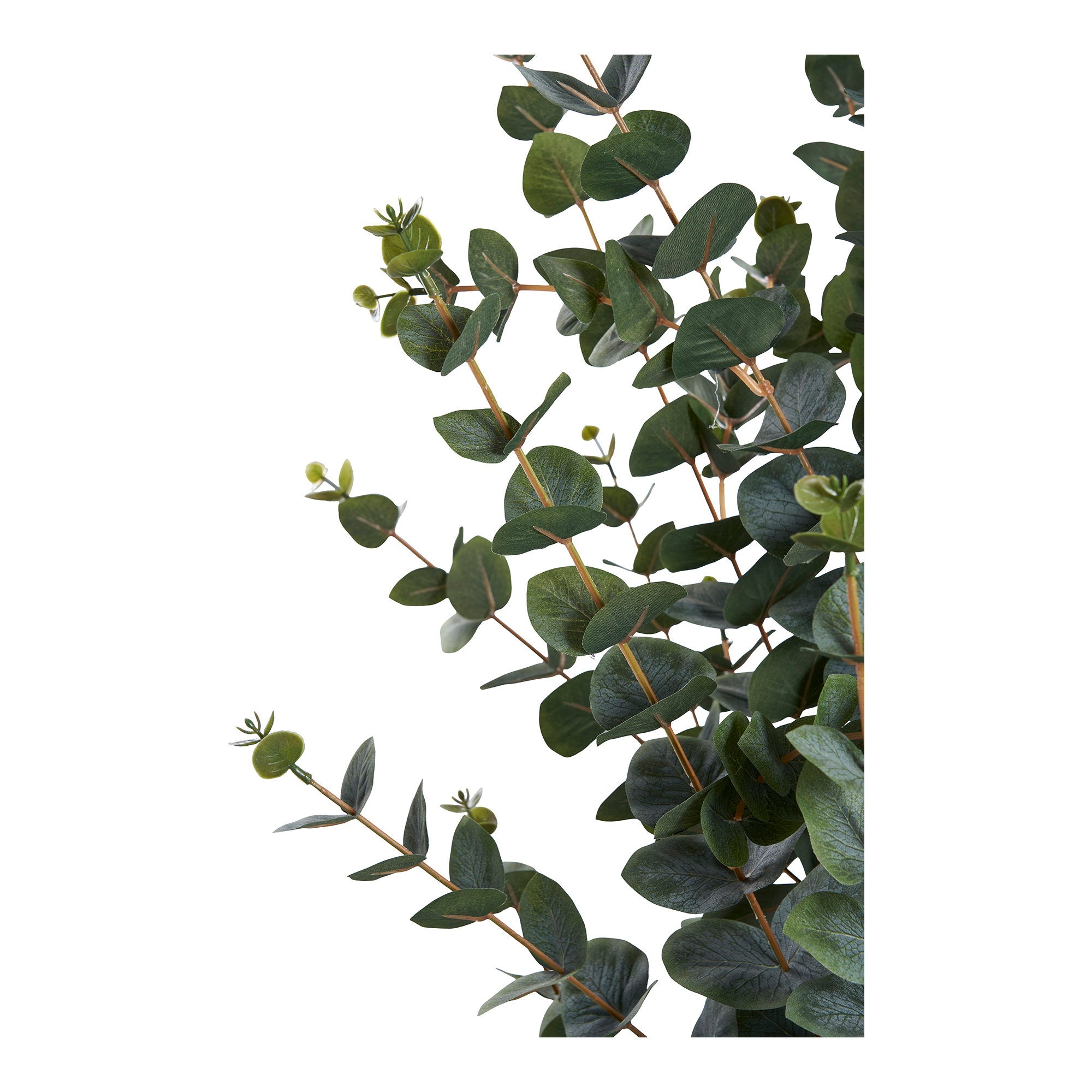 Eucalyptusboom - kunstplant, groen H:120 cm