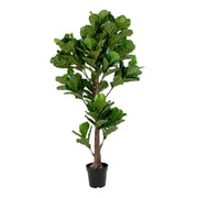 Vioolbladplant - Kunstplant, groen H:190 cm