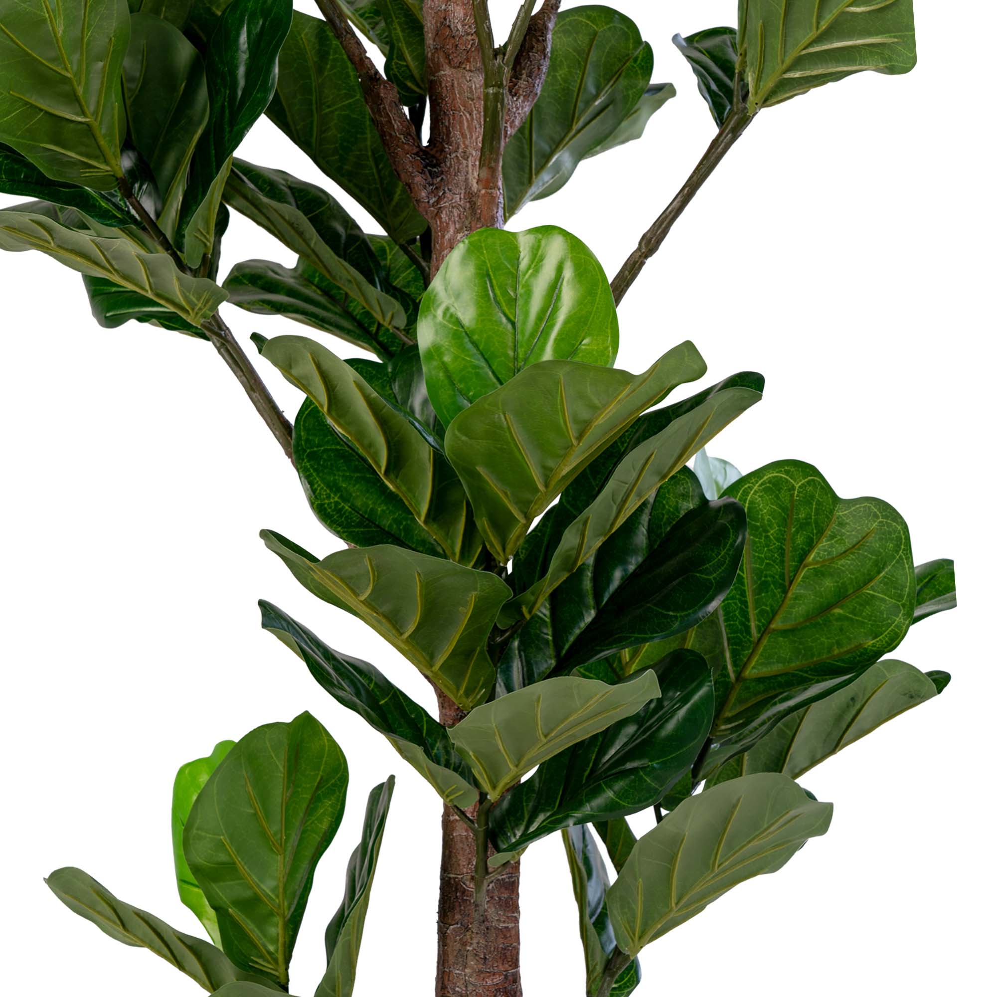 Vioolbladplant - Kunstplant, groen H:190 cm