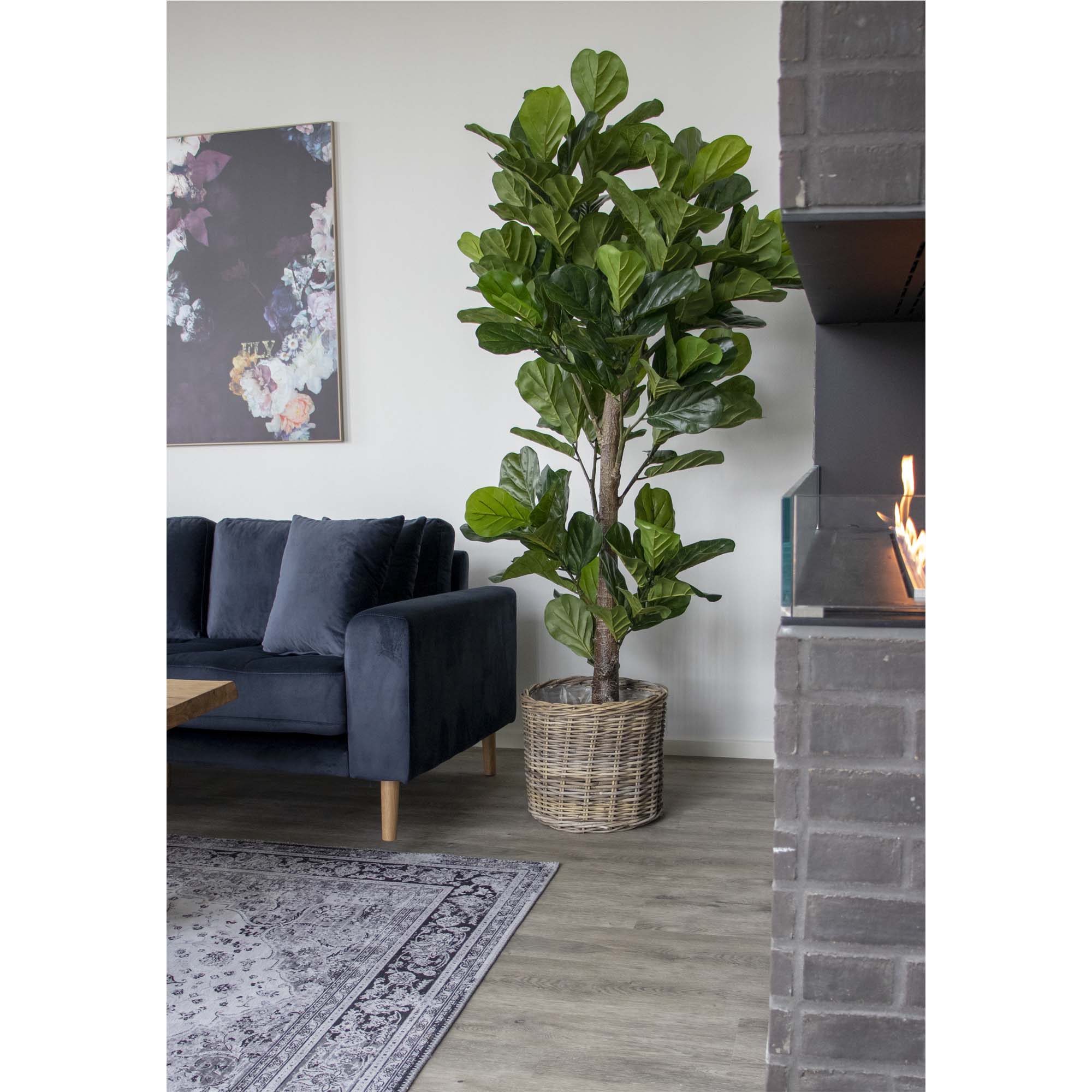 Vioolbladplant - Kunstplant, groen H:190 cm