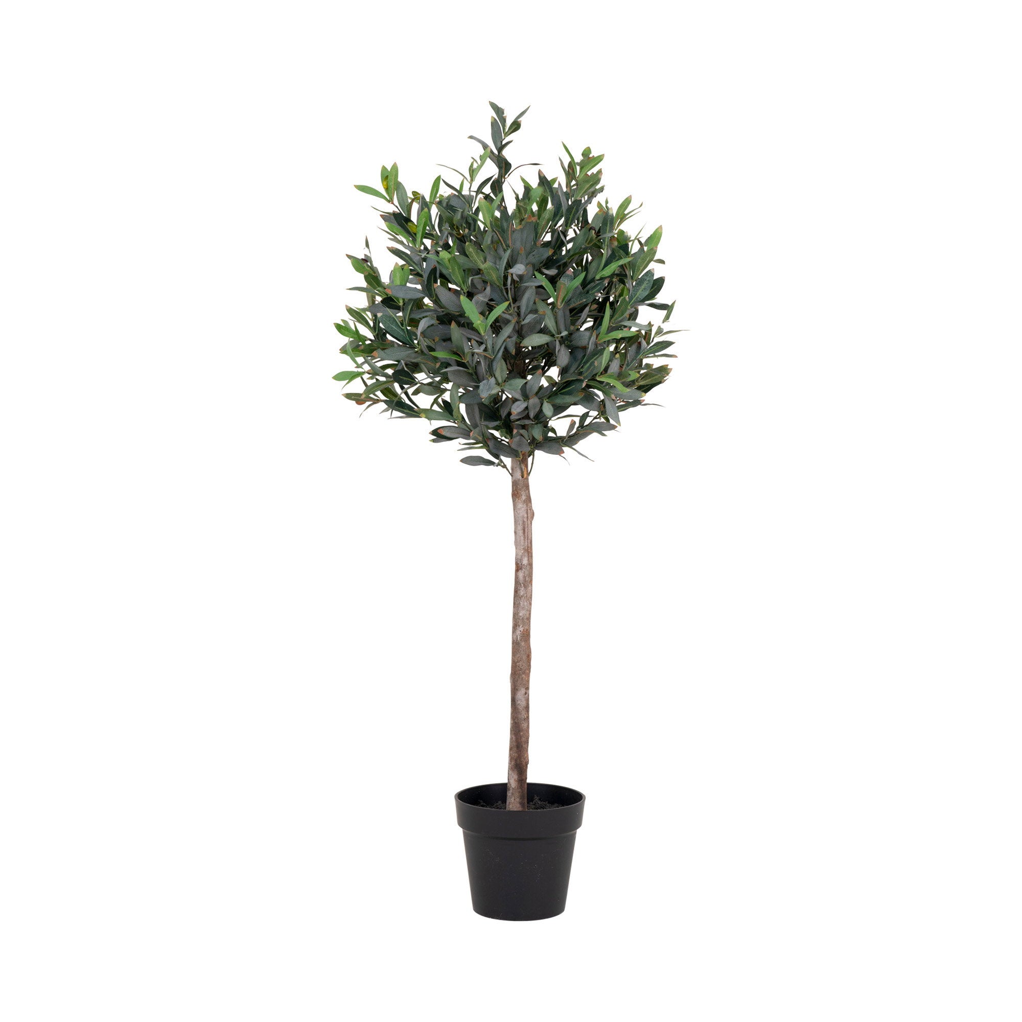 Olijfboom - kunstboom, groen H:120 cm