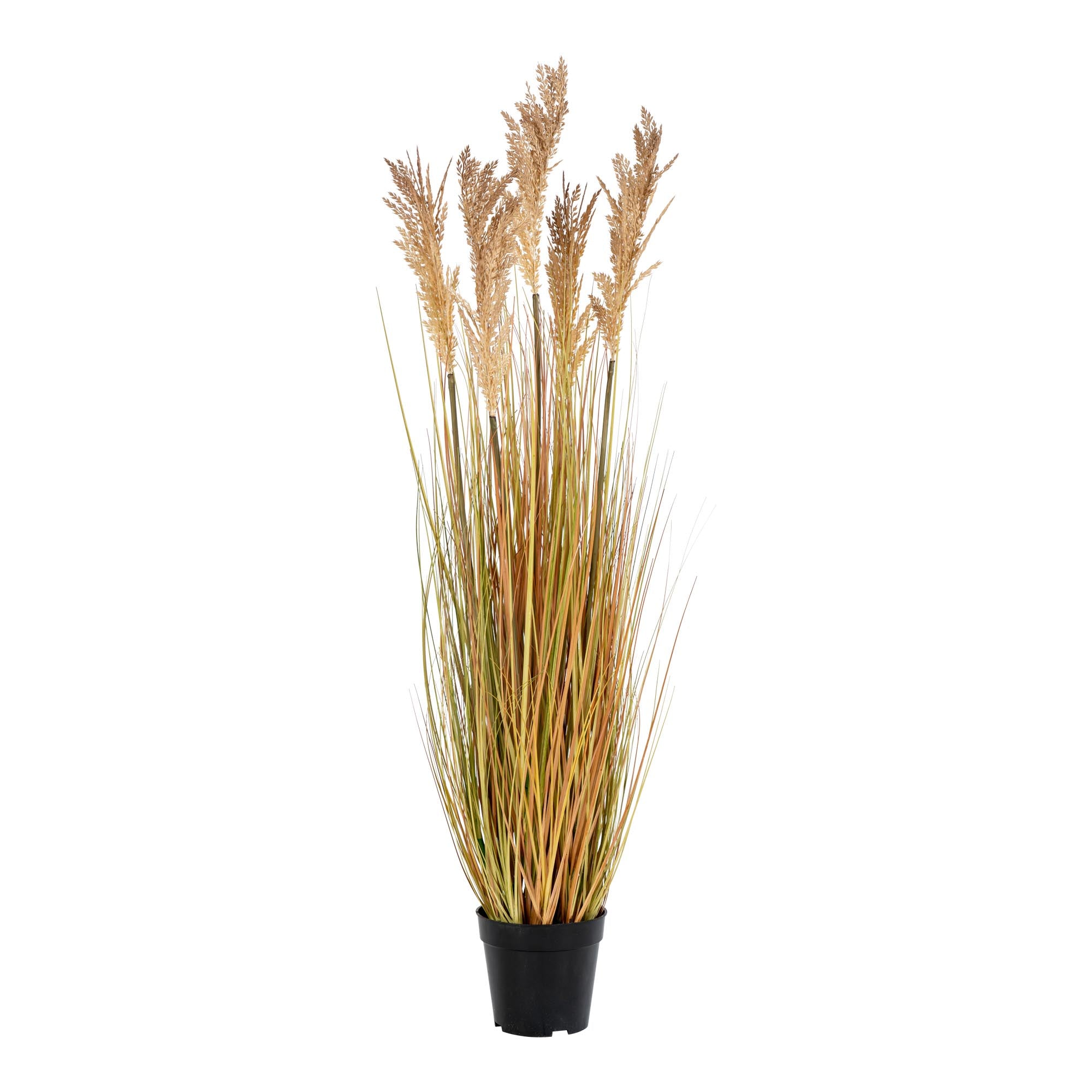 Sorghumgras - kunstplant, naturel H:110 cm