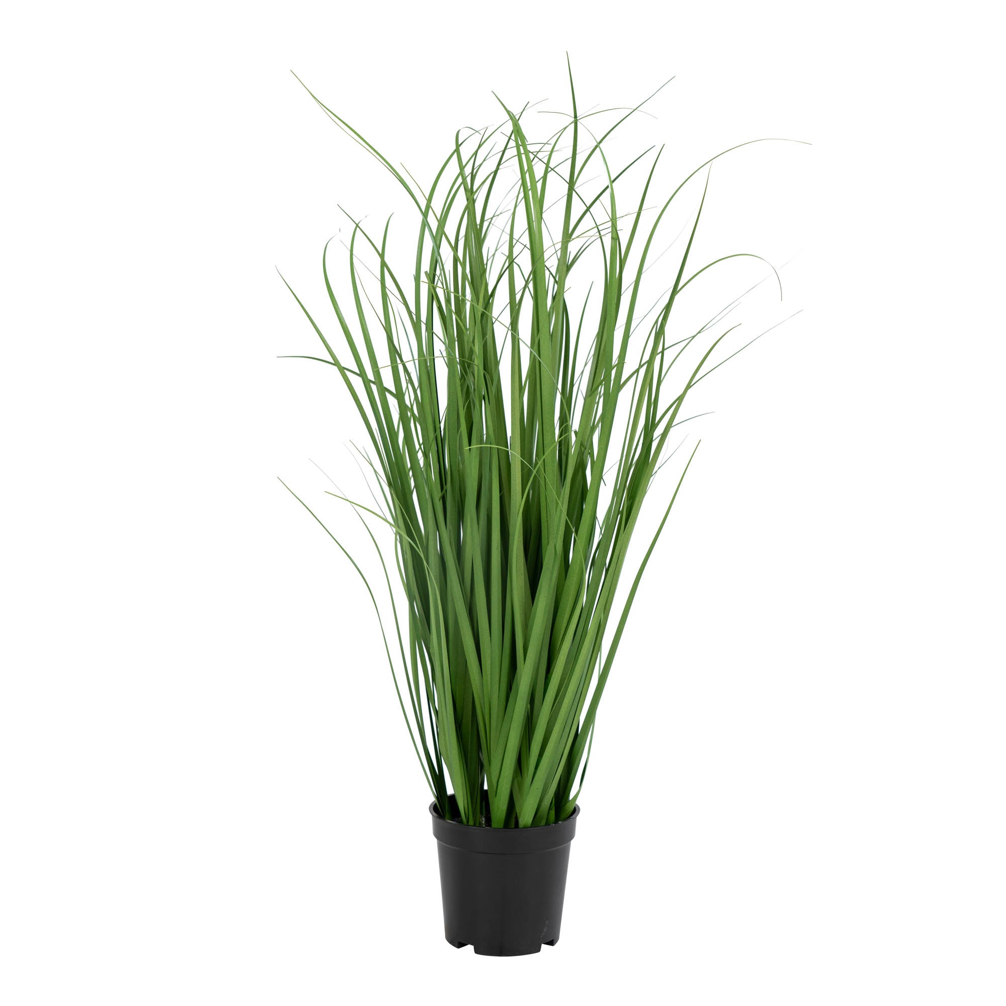 Poa-gras - Kunstmatig poa-gras, groen H:68 cm