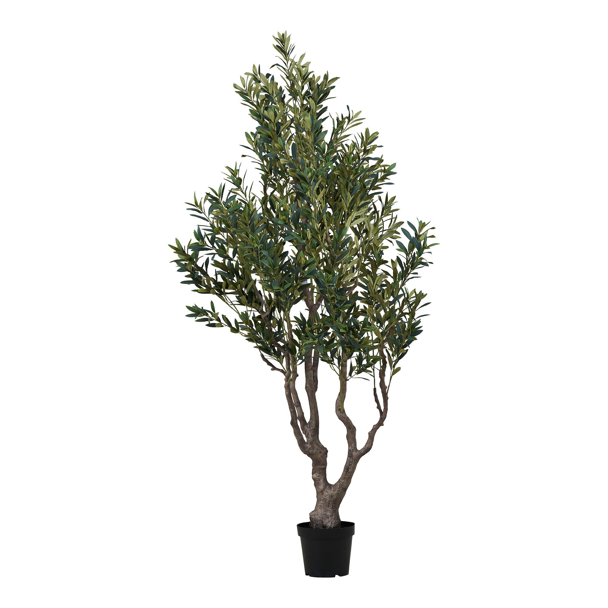 Olijfboom - kunstboom, groen H:220 cm