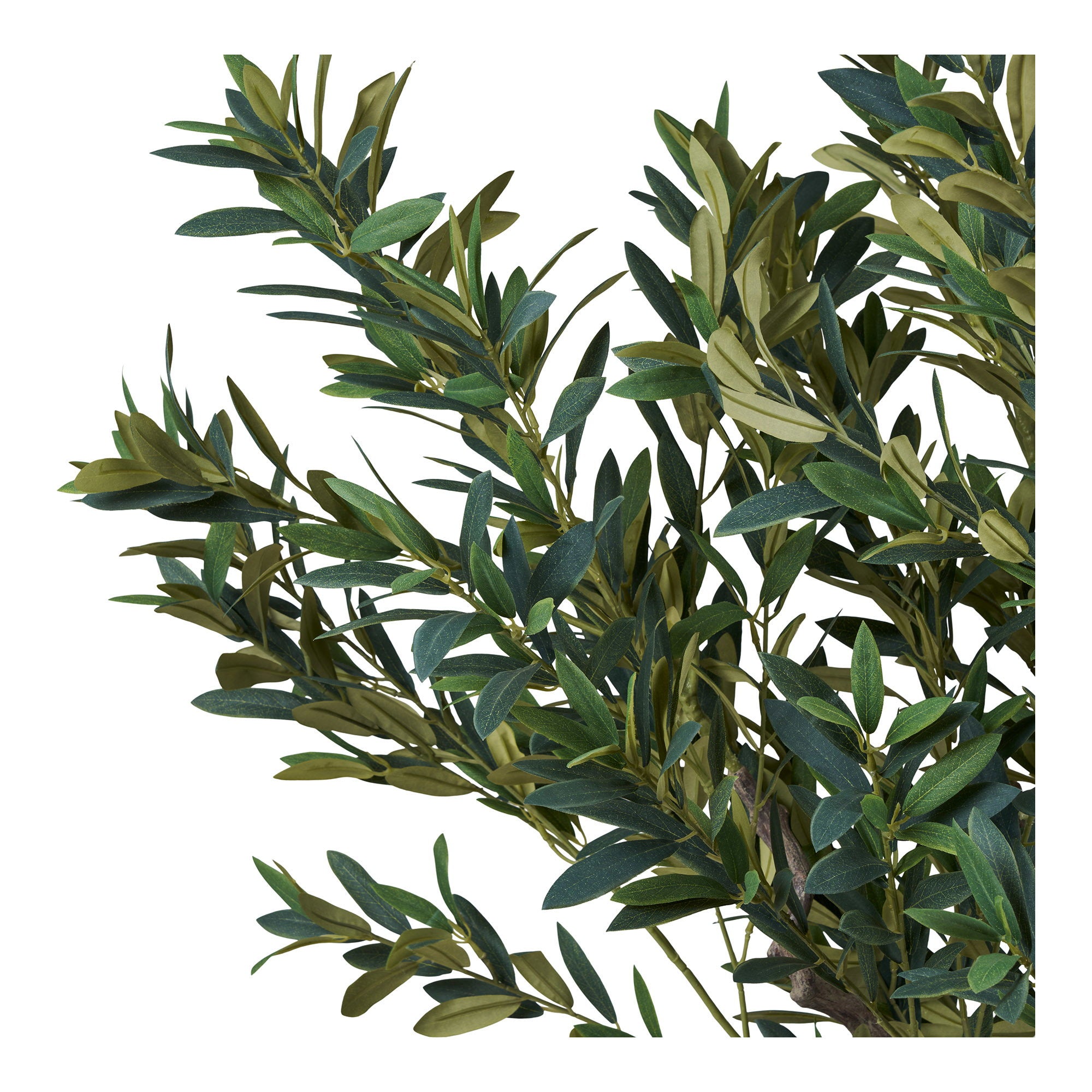 Olijfboom - kunstboom, groen H:220 cm