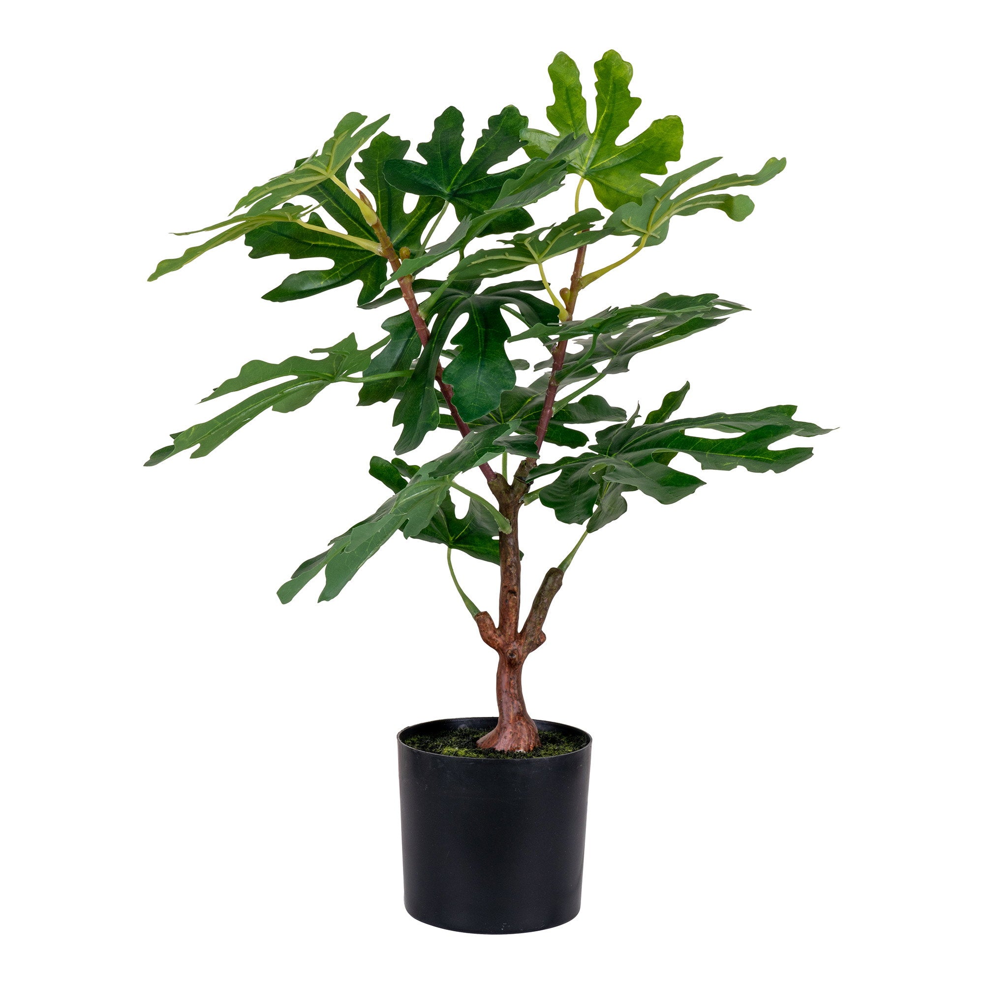Vijgenboom - Kunstplant, groen H:60 cm