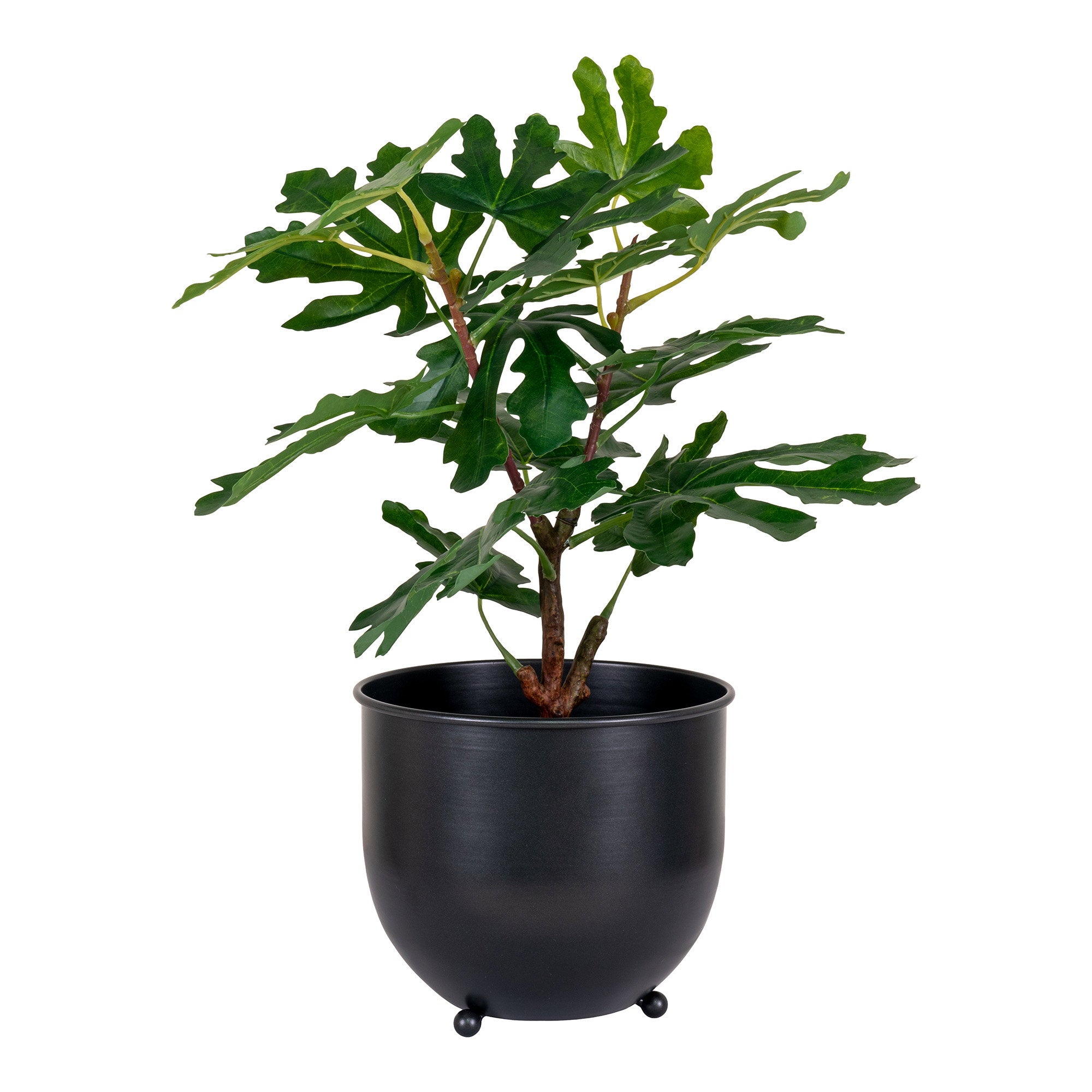 Vijgenboom - Kunstplant, groen H:60 cm