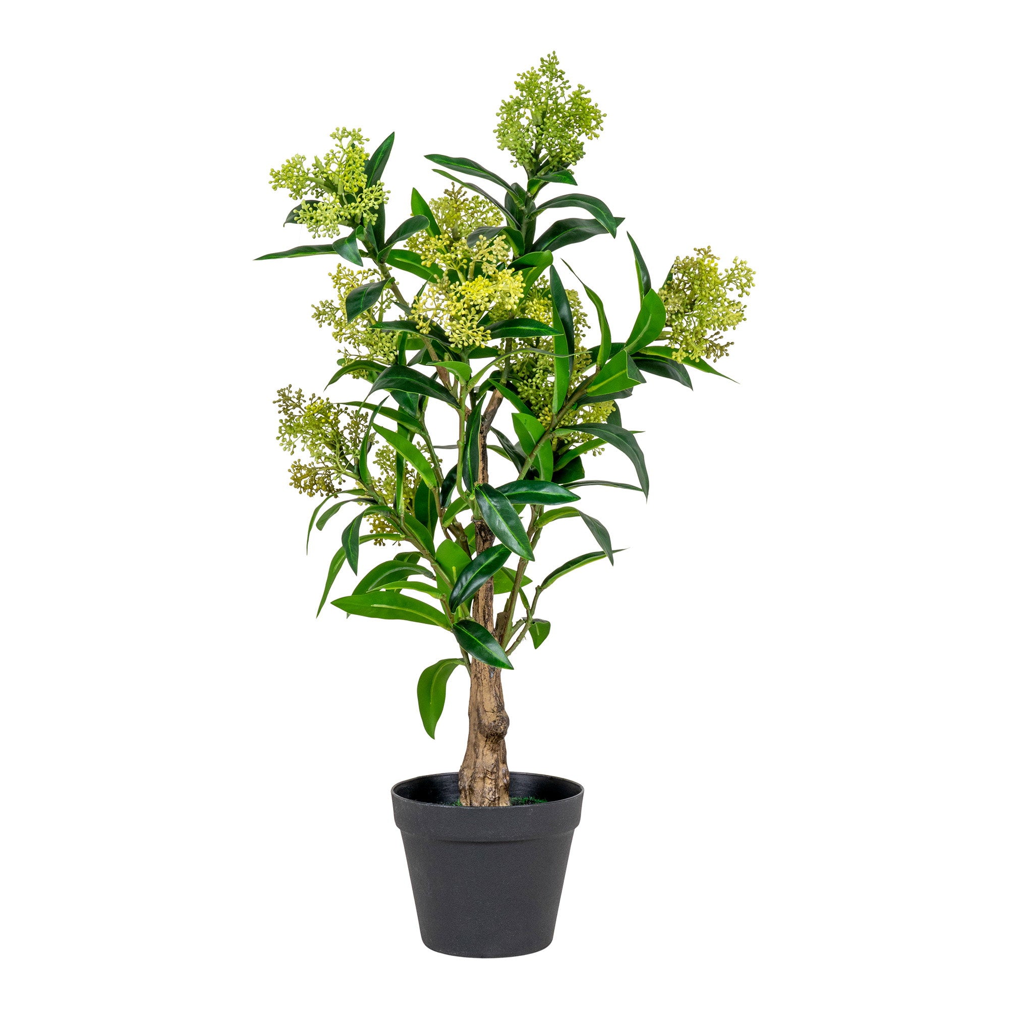 Skimmia-boom - kunstplant, groen H:75 cm