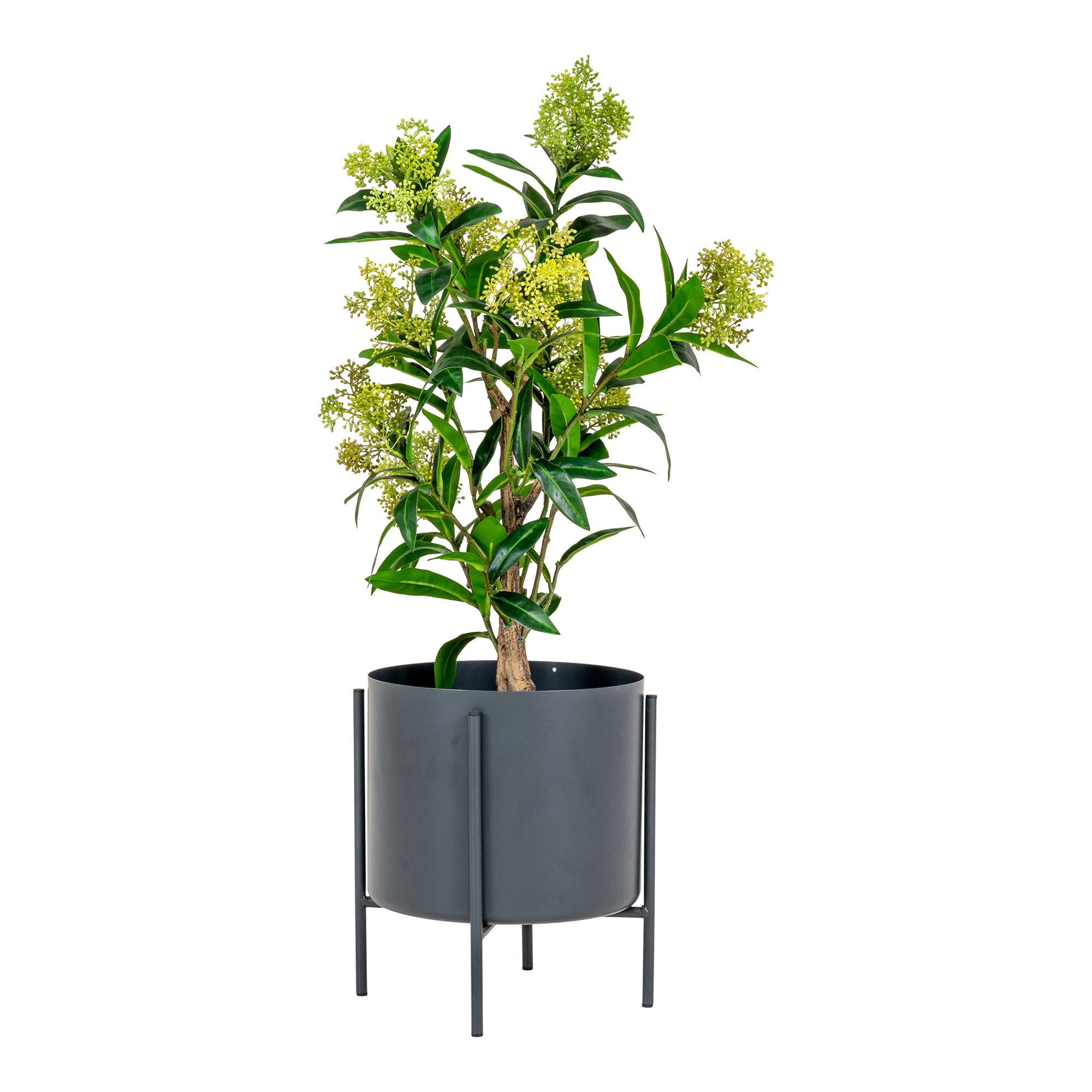 Skimmia-boom - kunstplant, groen H:75 cm