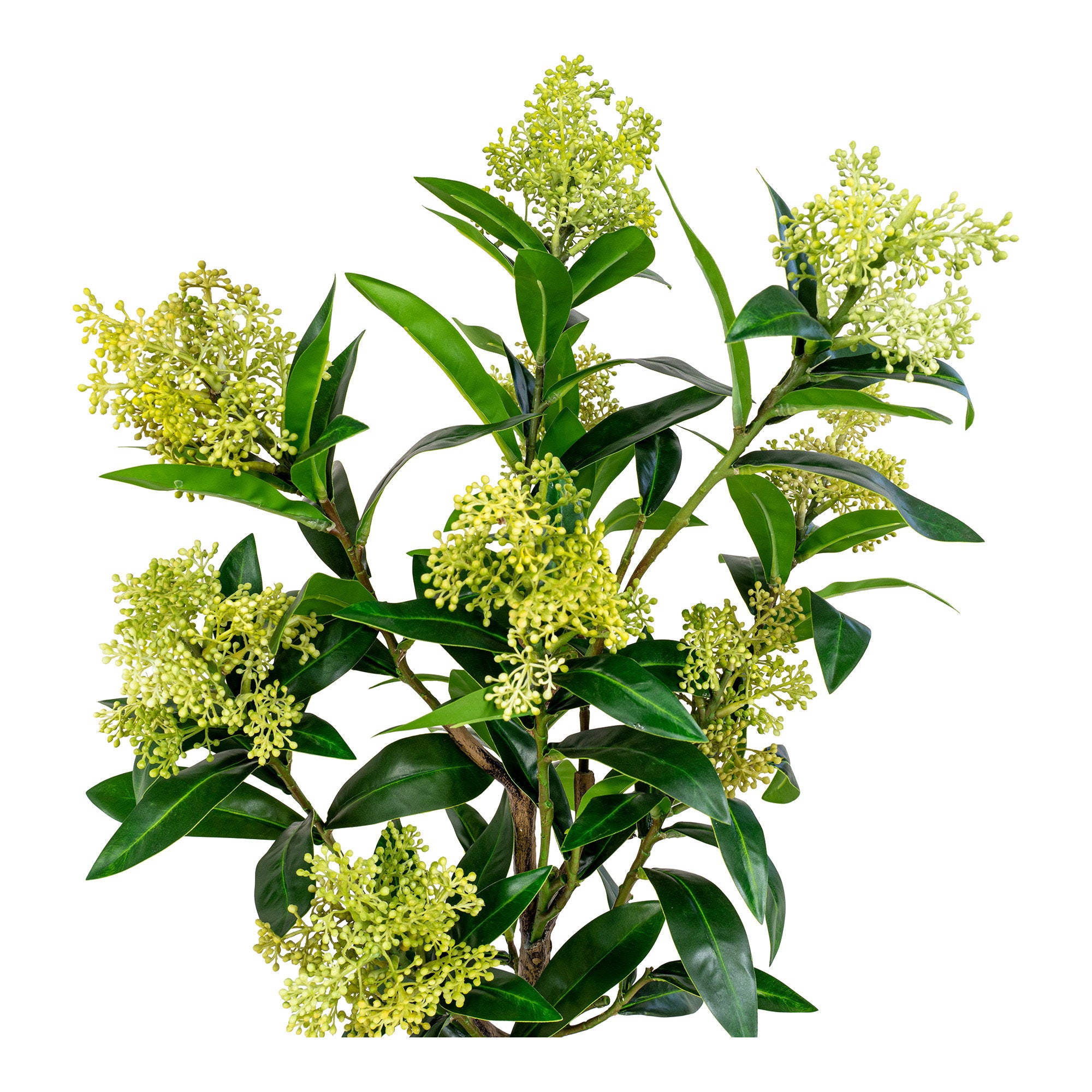 Skimmia-boom - kunstplant, groen H:75 cm