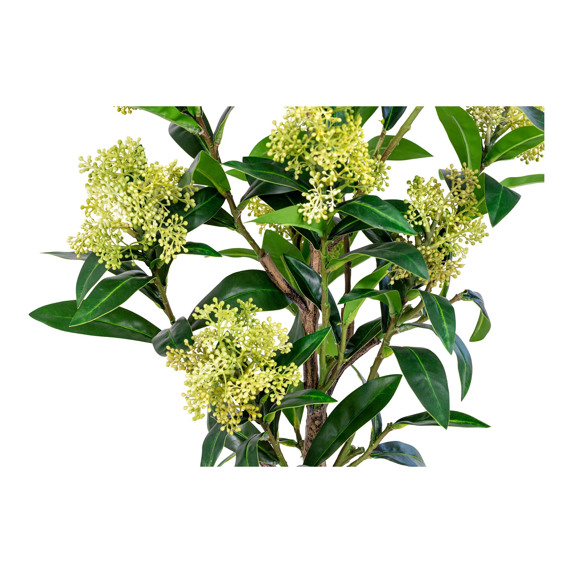 Skimmia-boom - kunstplant, groen H:75 cm
