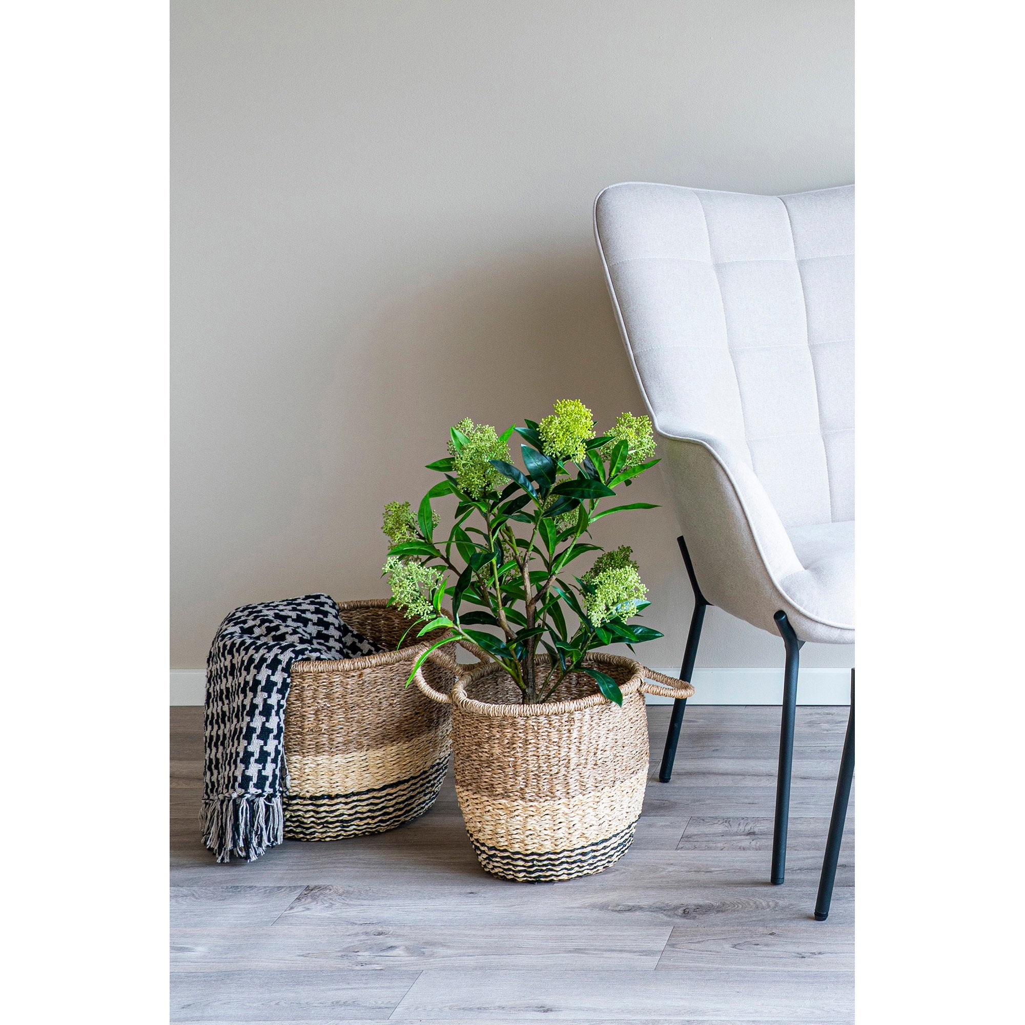 Skimmia-boom - kunstplant, groen H:75 cm
