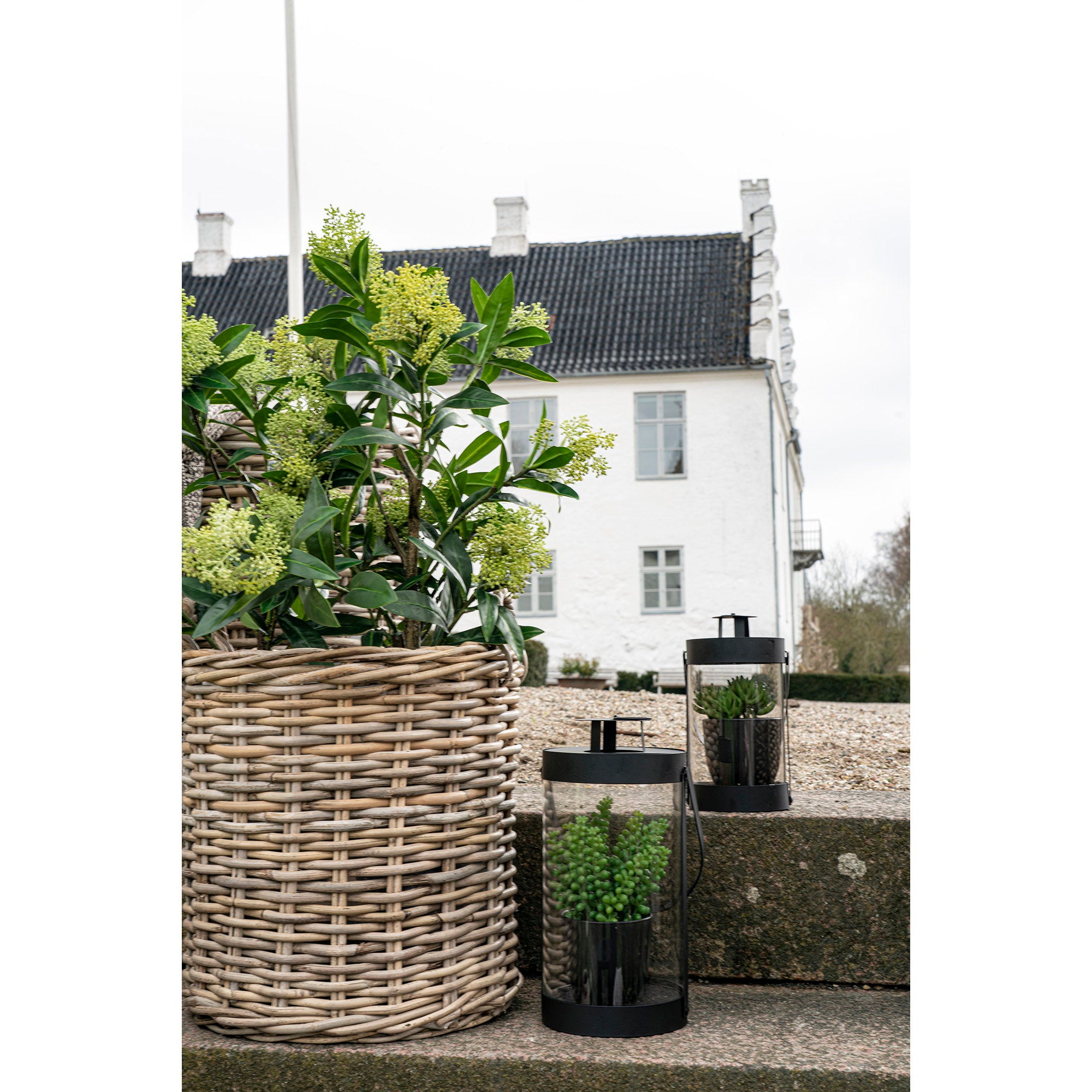 Skimmia-boom - kunstplant, groen H:75 cm