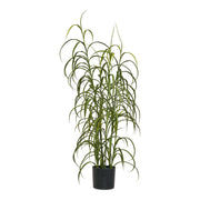 Grasplant - Plant, groen H:68 cm