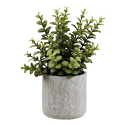 Vetplant - kunstplant met cementen pot, groen/grijs H:33