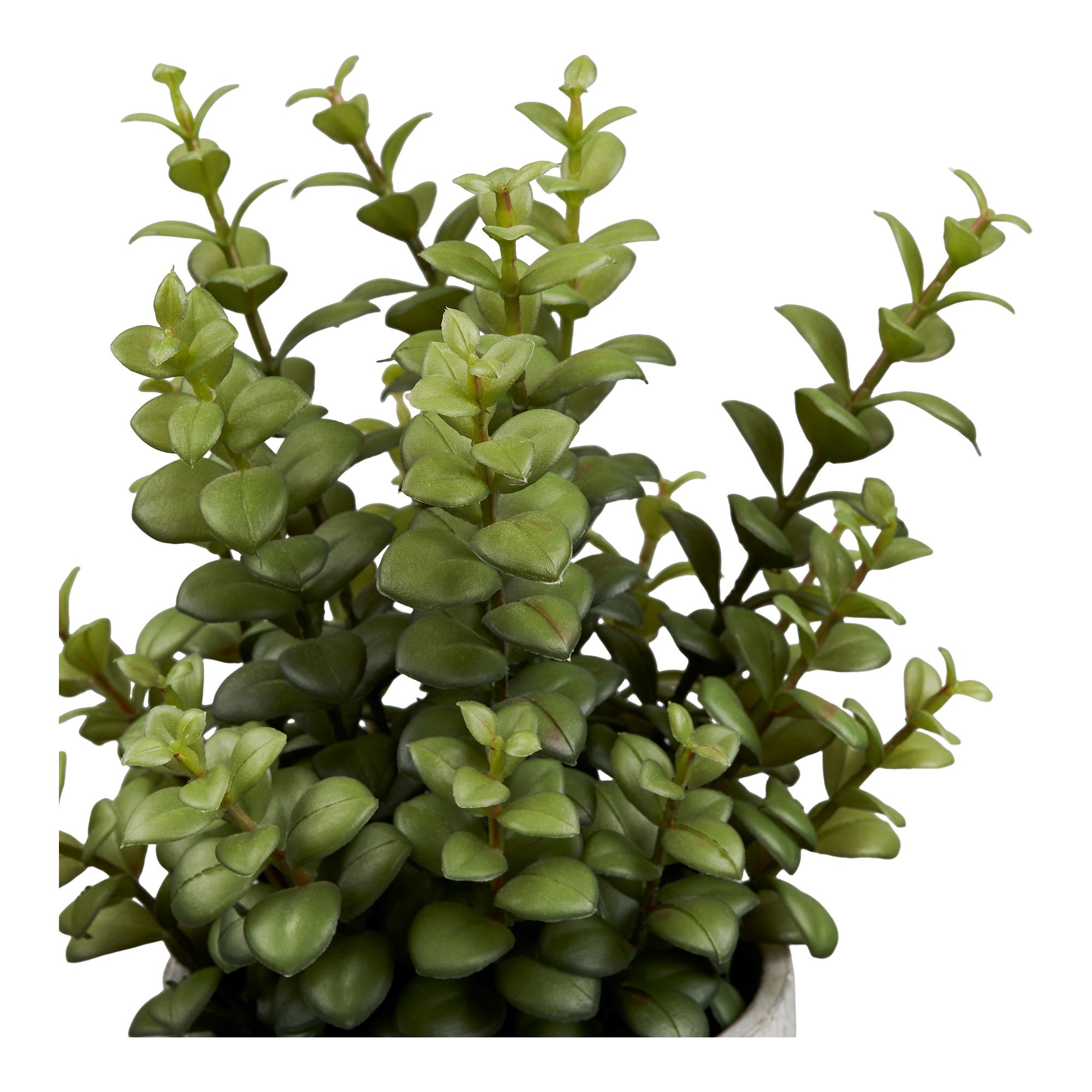 Vetplant - kunstplant met cementen pot, groen/grijs H:33
