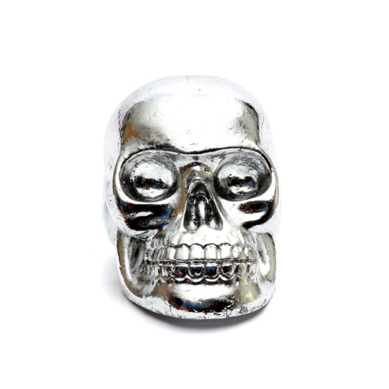 Schedel van hars, zilver, M