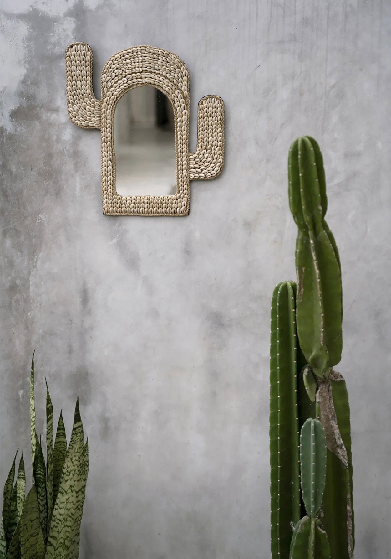 De Cactusschelpspiegel - Wit