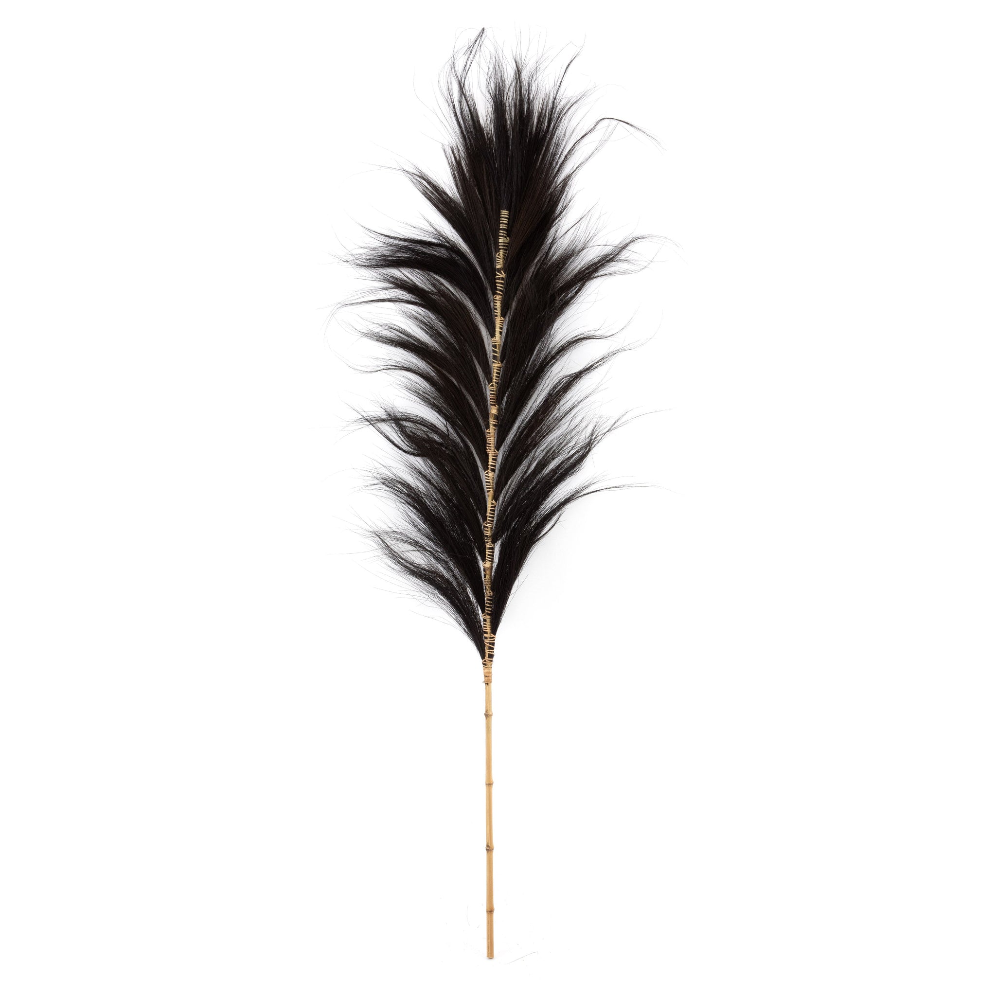 Het Adembenemende Blad - Zwart