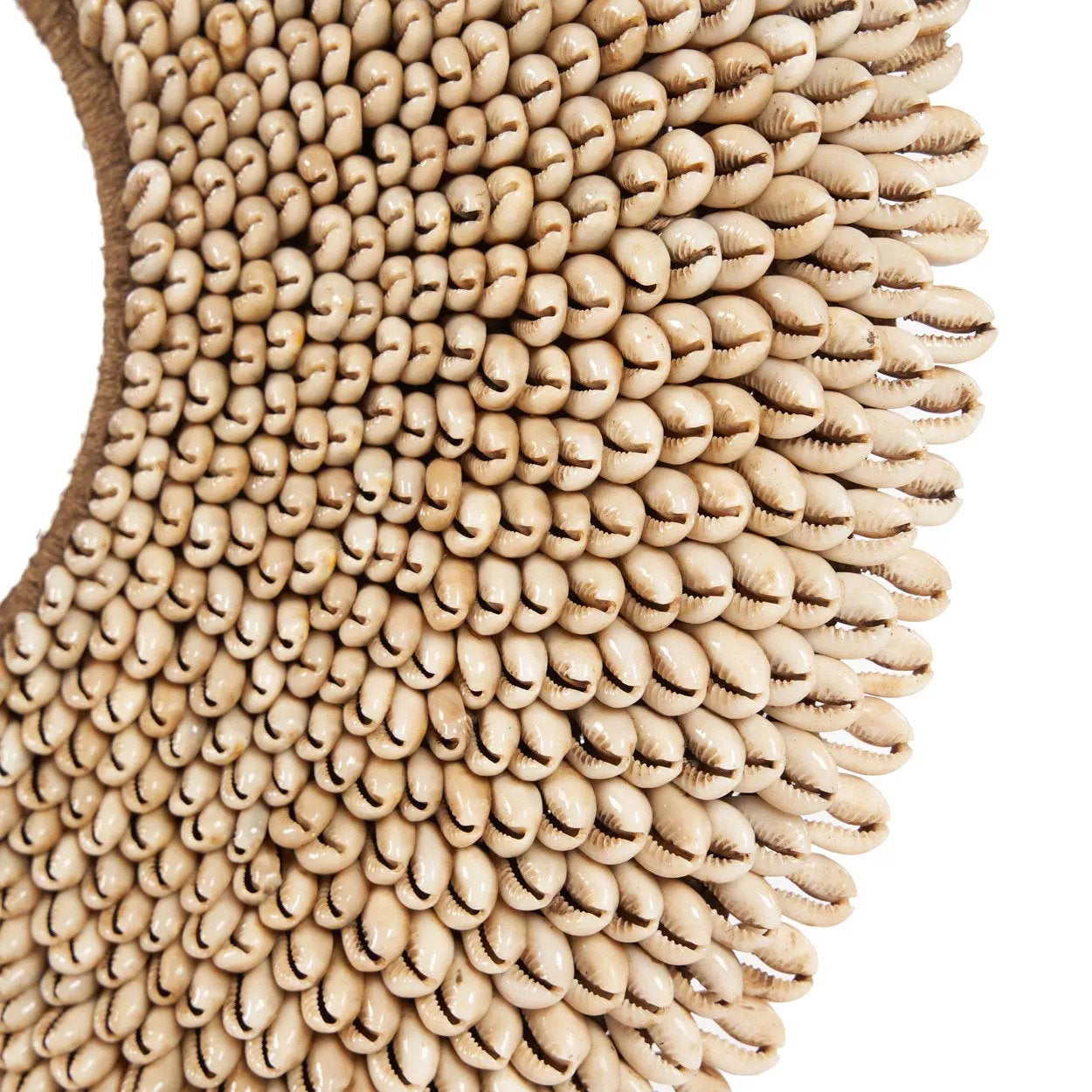 De schelp Réunion op standaard - naturel